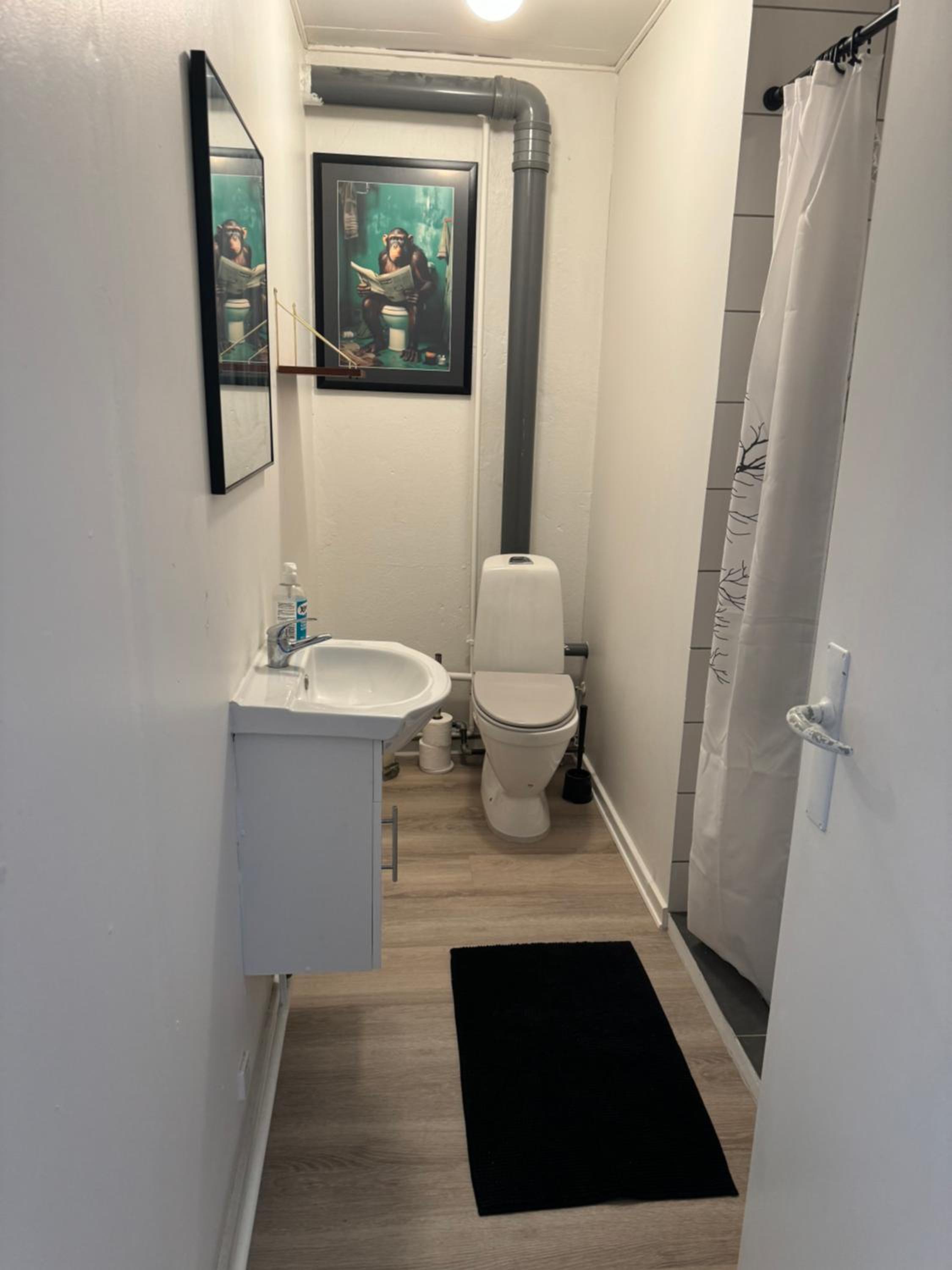 One-Bedroom Apartment photo 2
