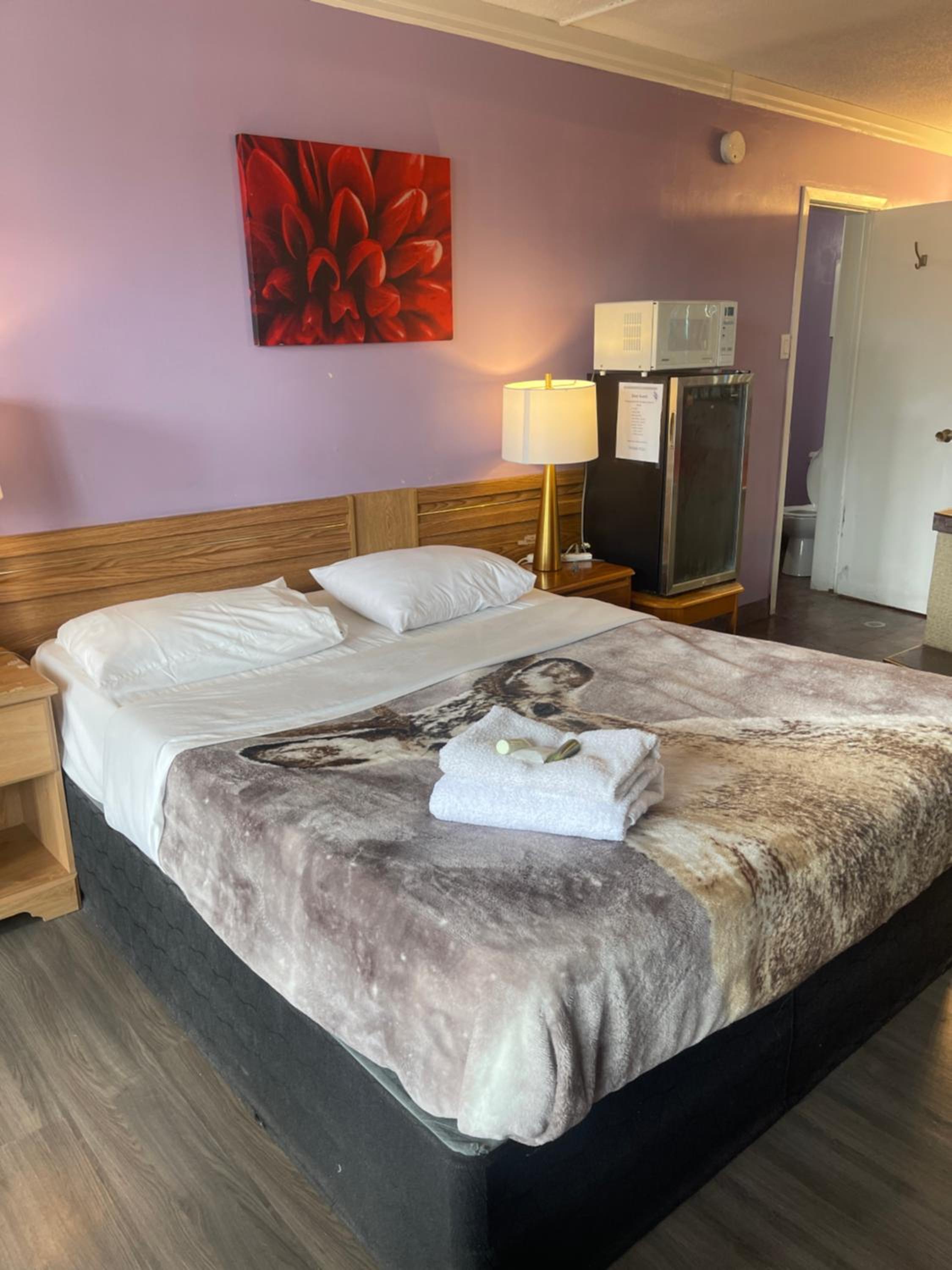 Queen Room