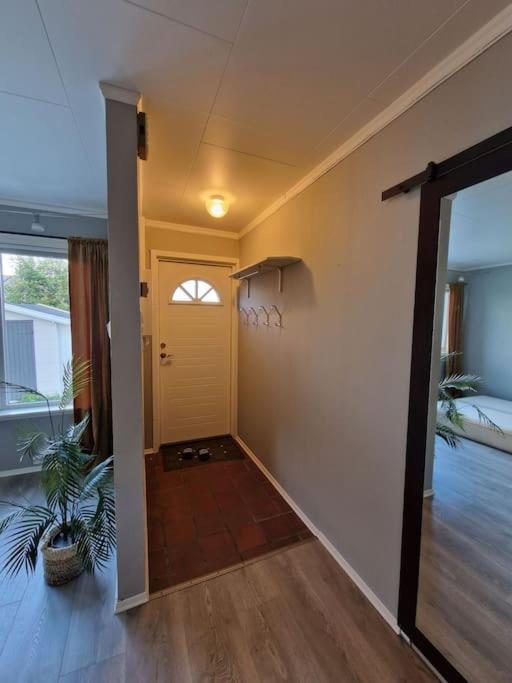 One-Bedroom Apartment photo 3