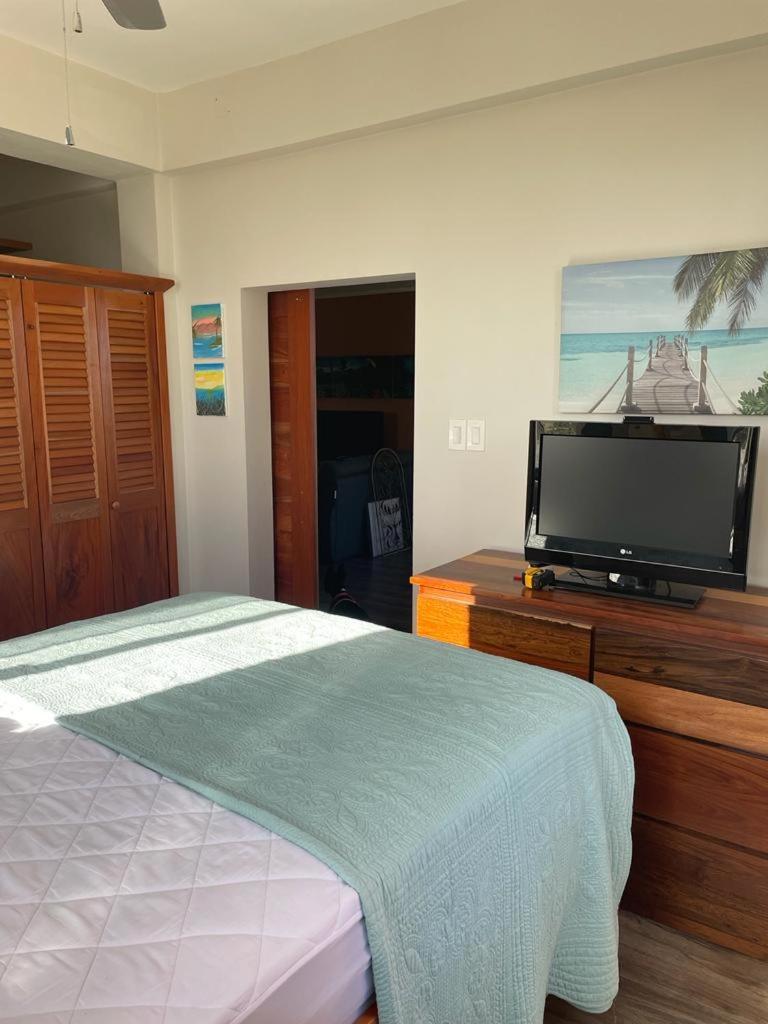 Deluxe One-Bedroom Apartment with Ocean View photo 2