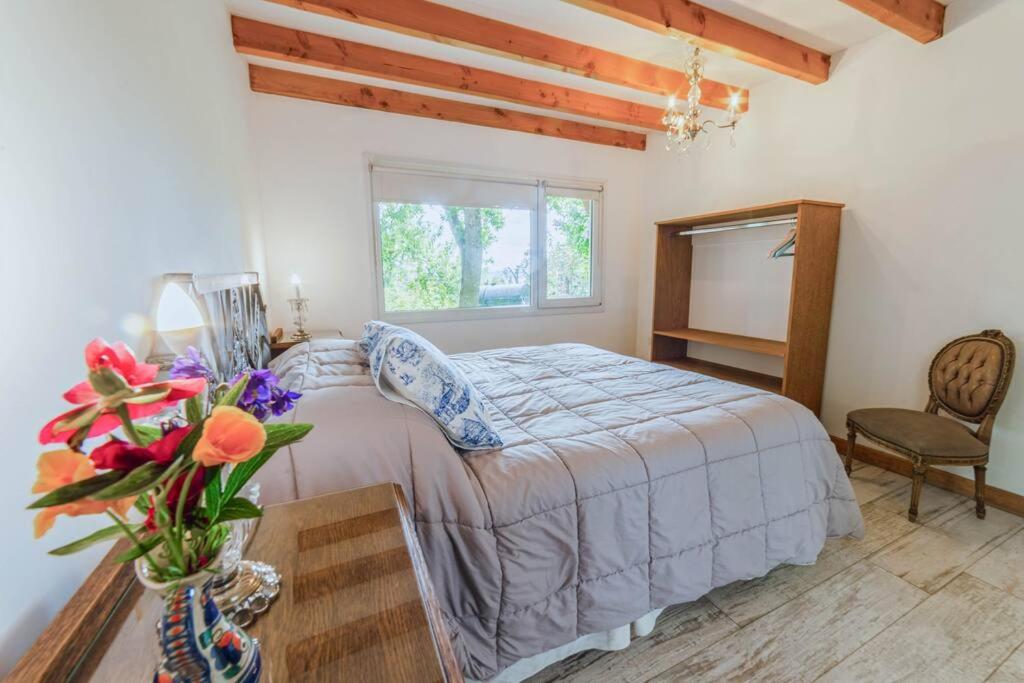 One-Bedroom House photo 1