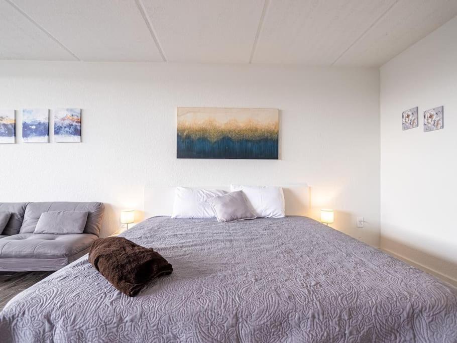 One-Bedroom Apartment photo 2