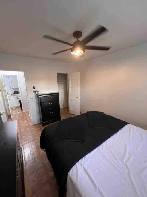 One-Bedroom Apartment photo 3
