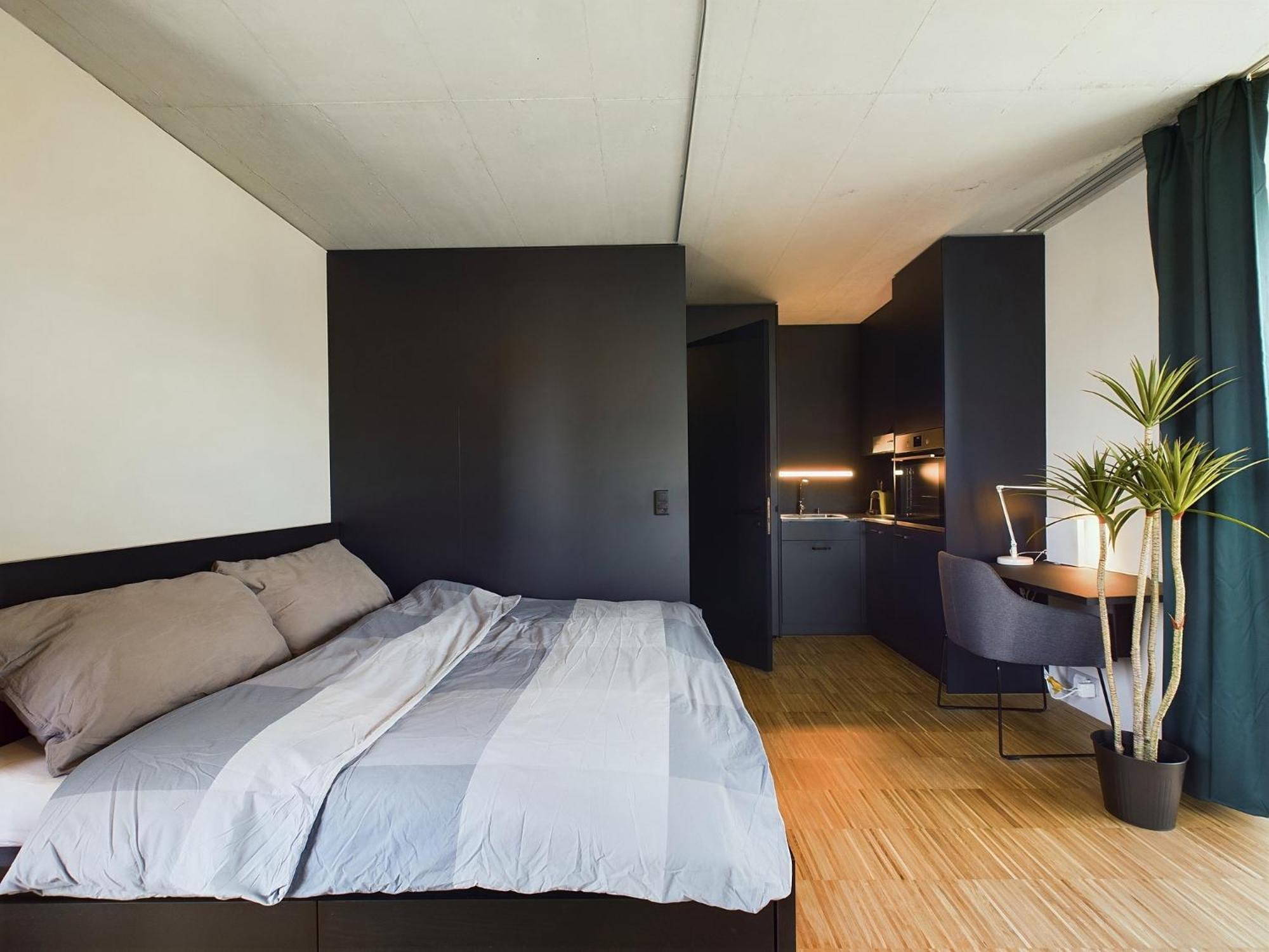 One-Bedroom Apartment photo 3