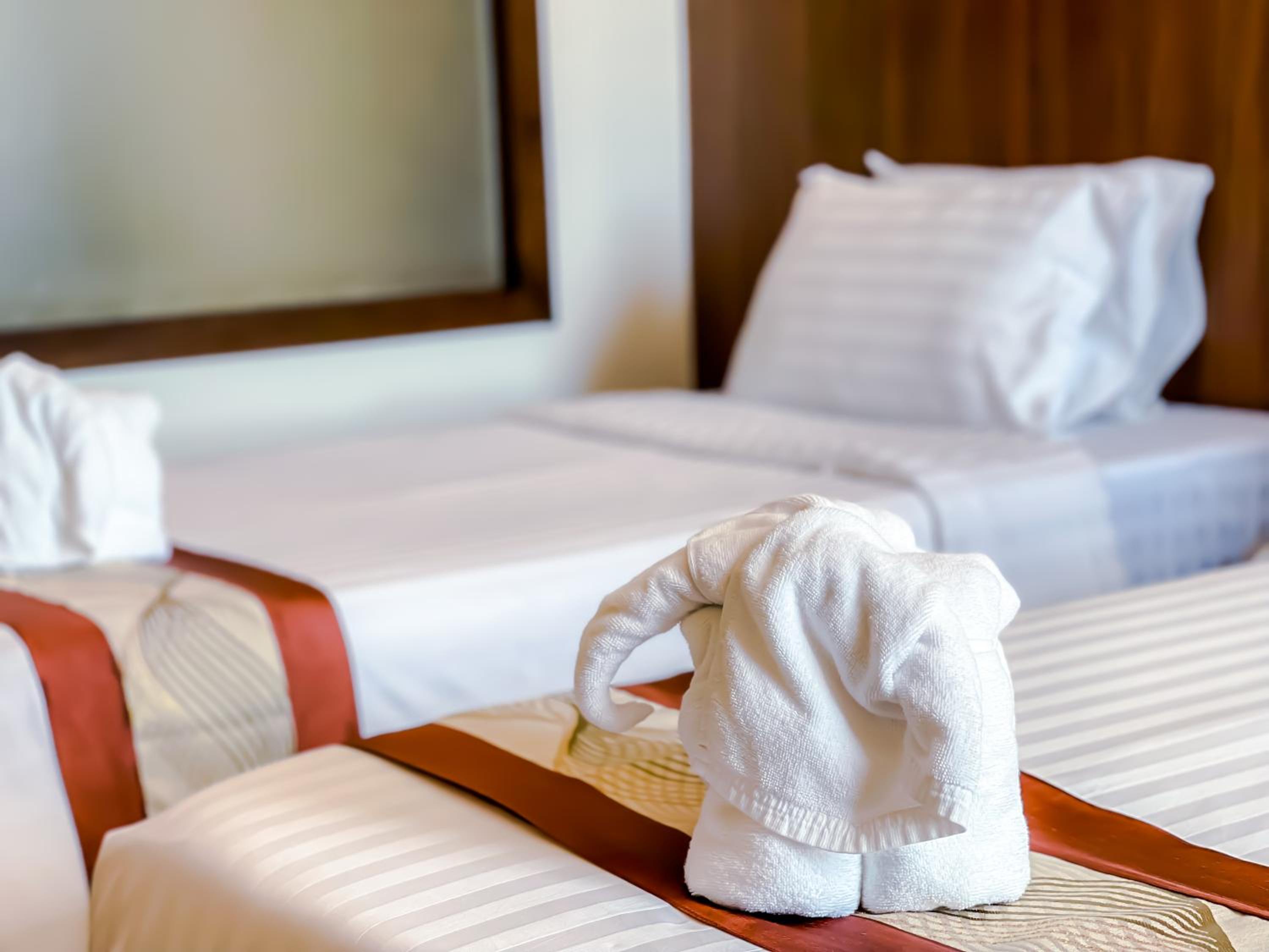 Superior Twin Room - Photo 10