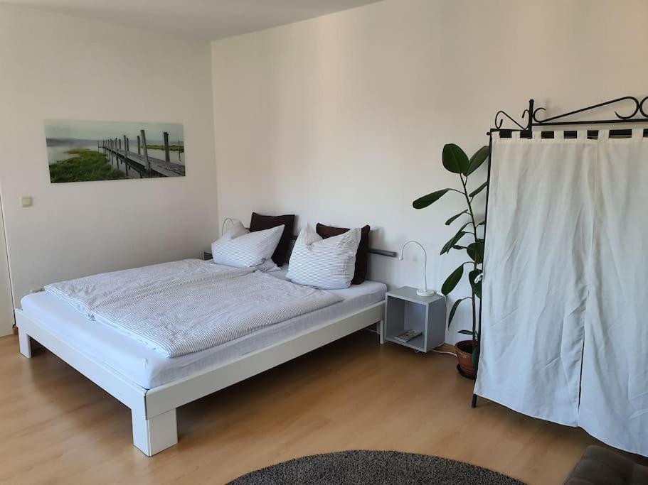 One-Bedroom Apartment photo 3