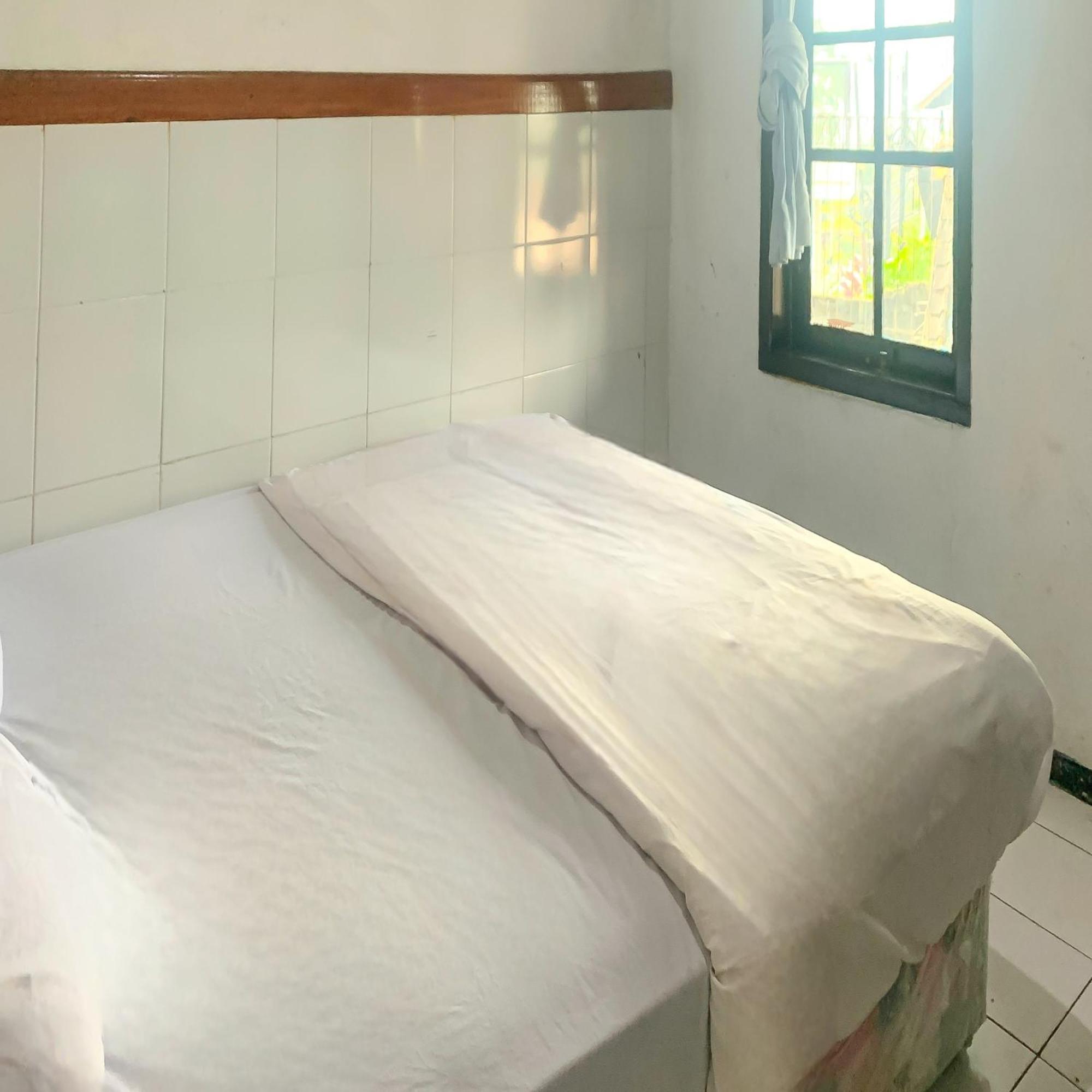 Standard Double Room - Photo 2