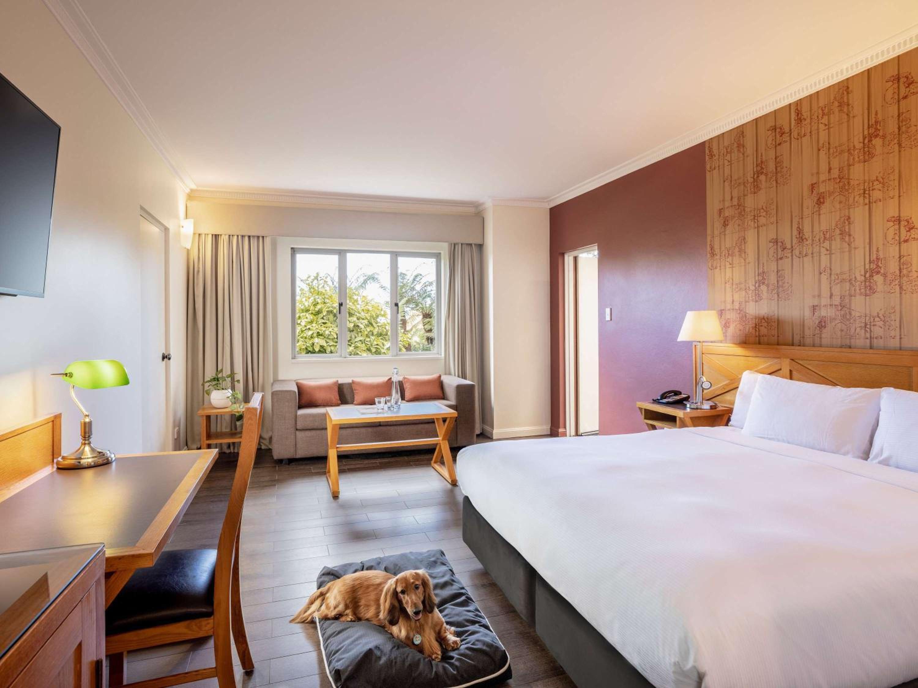Standard King Room with Courtyard - Pet Friendly - Photo 1
