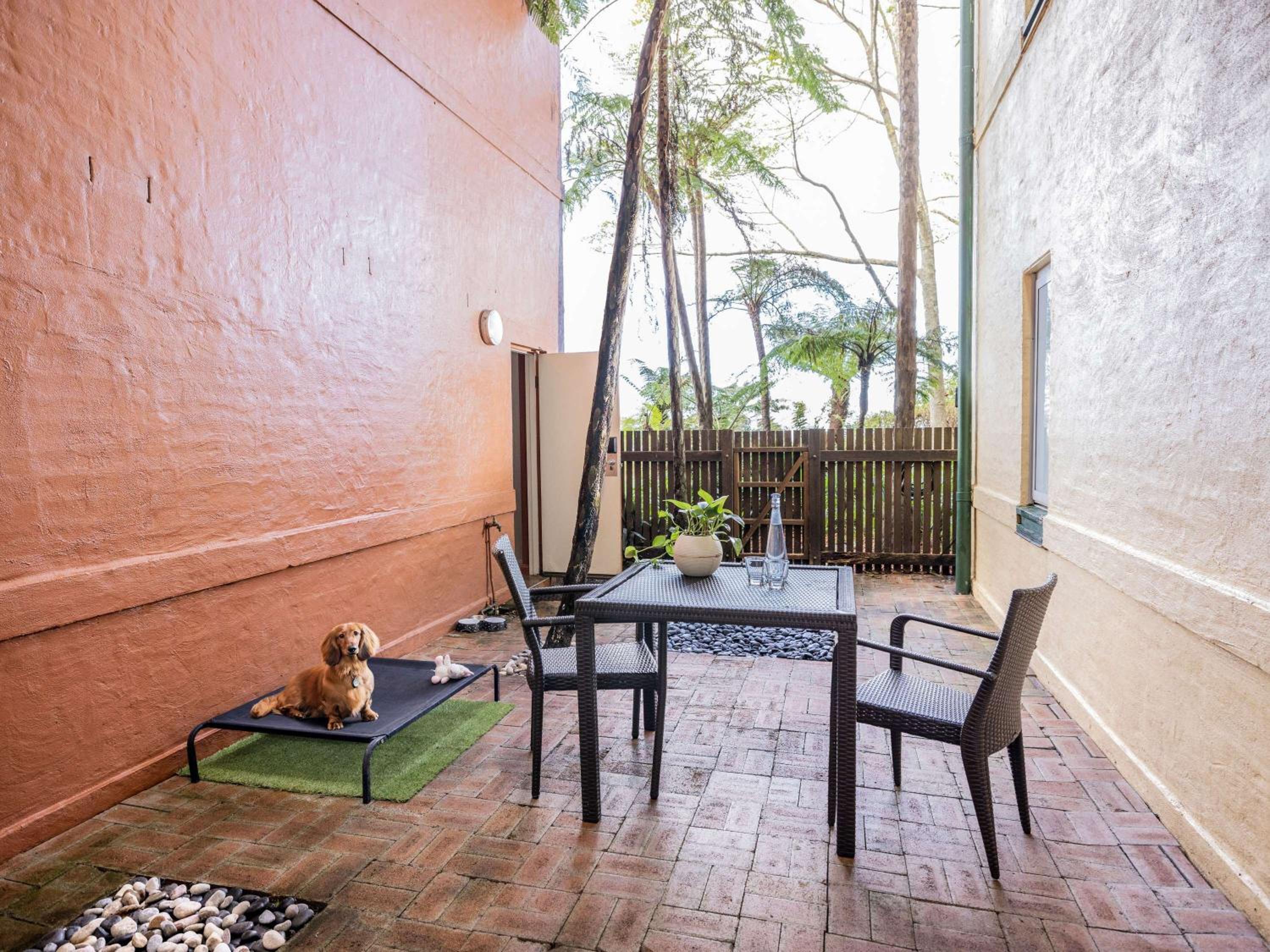 Standard King Room with Courtyard - Pet Friendly - Photo 4