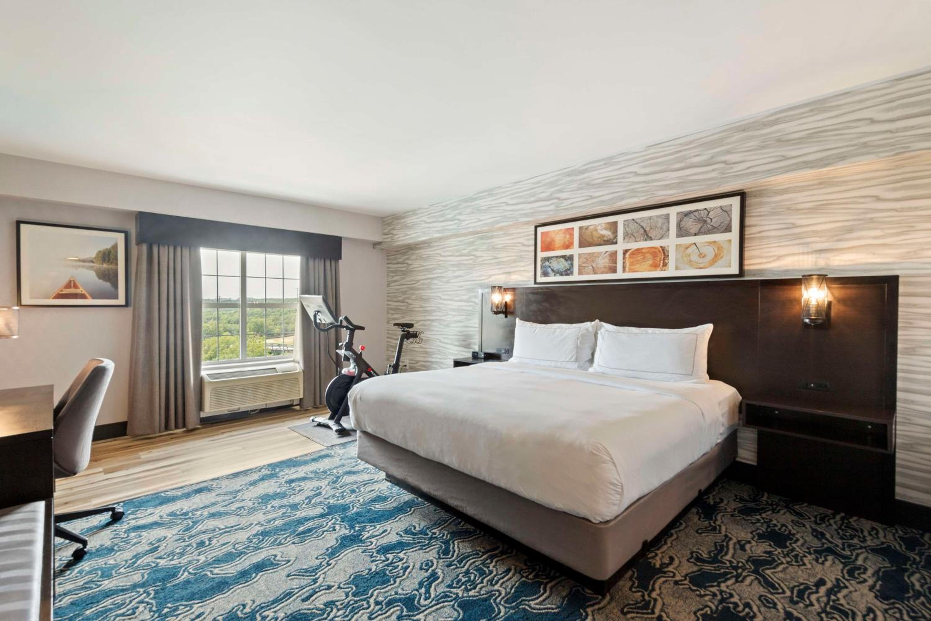 Fitness King Room with Peloton Program - Photo 1