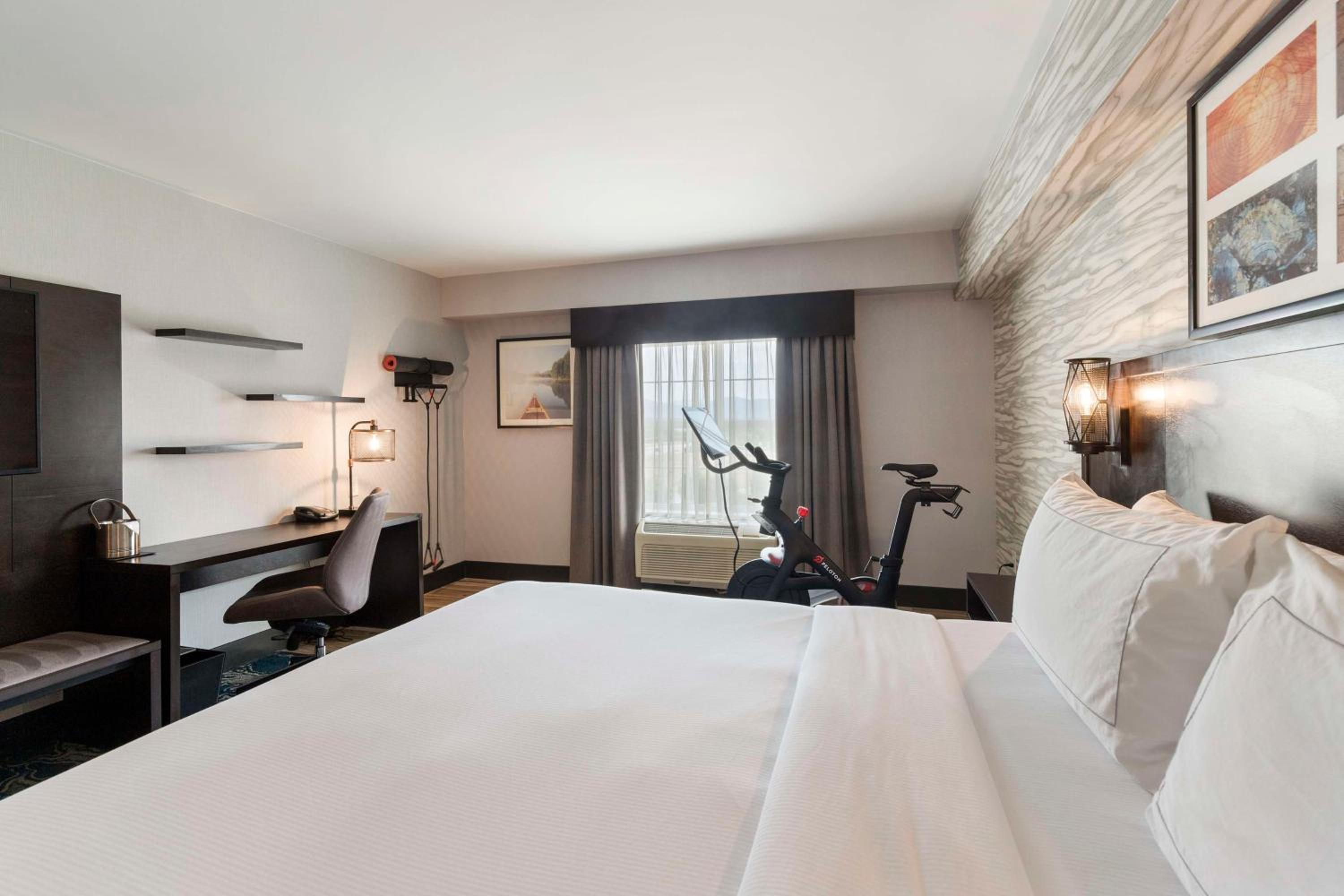 Fitness King Room with Peloton Program - Photo 3