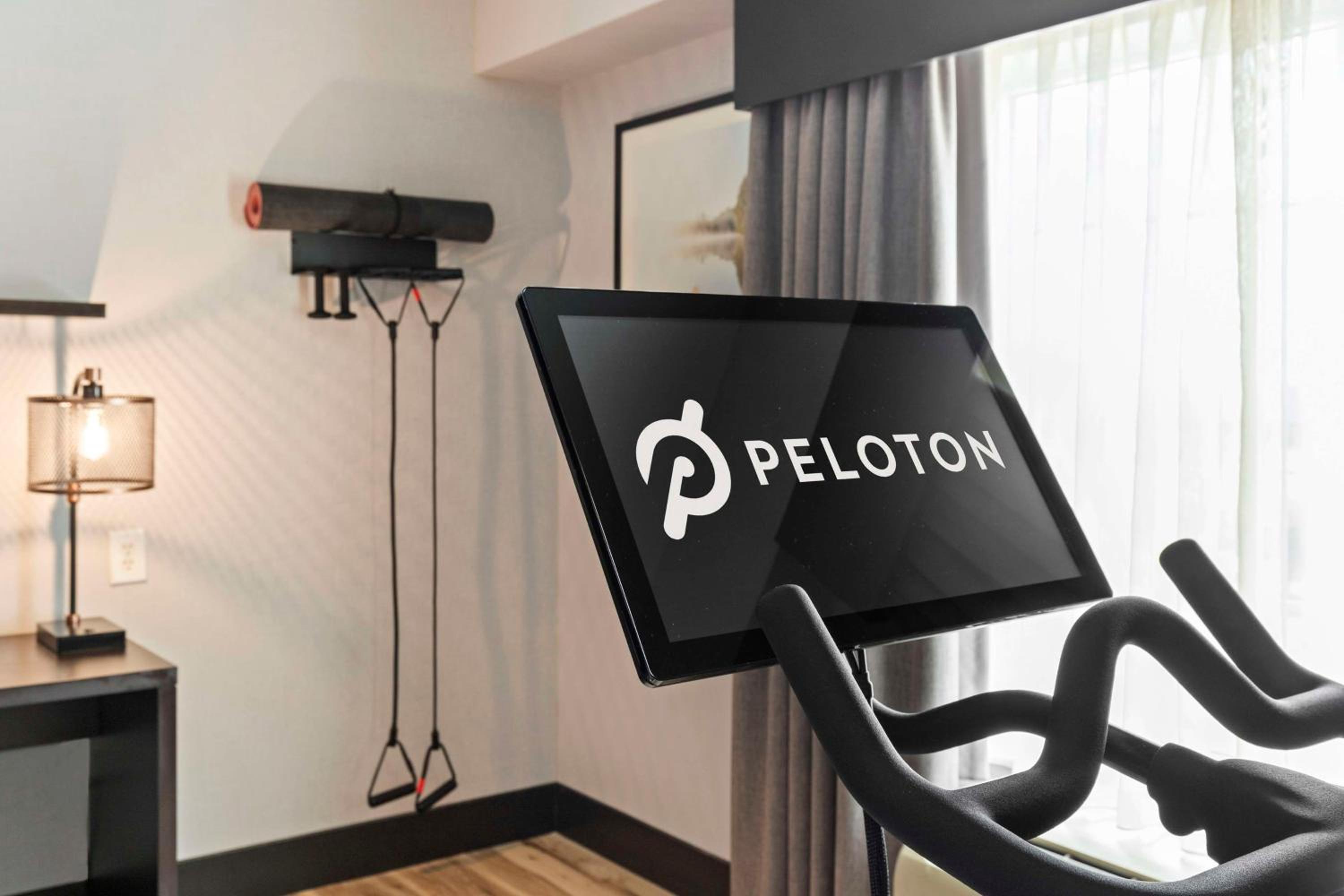 Fitness King Room with Peloton Program - Photo 4
