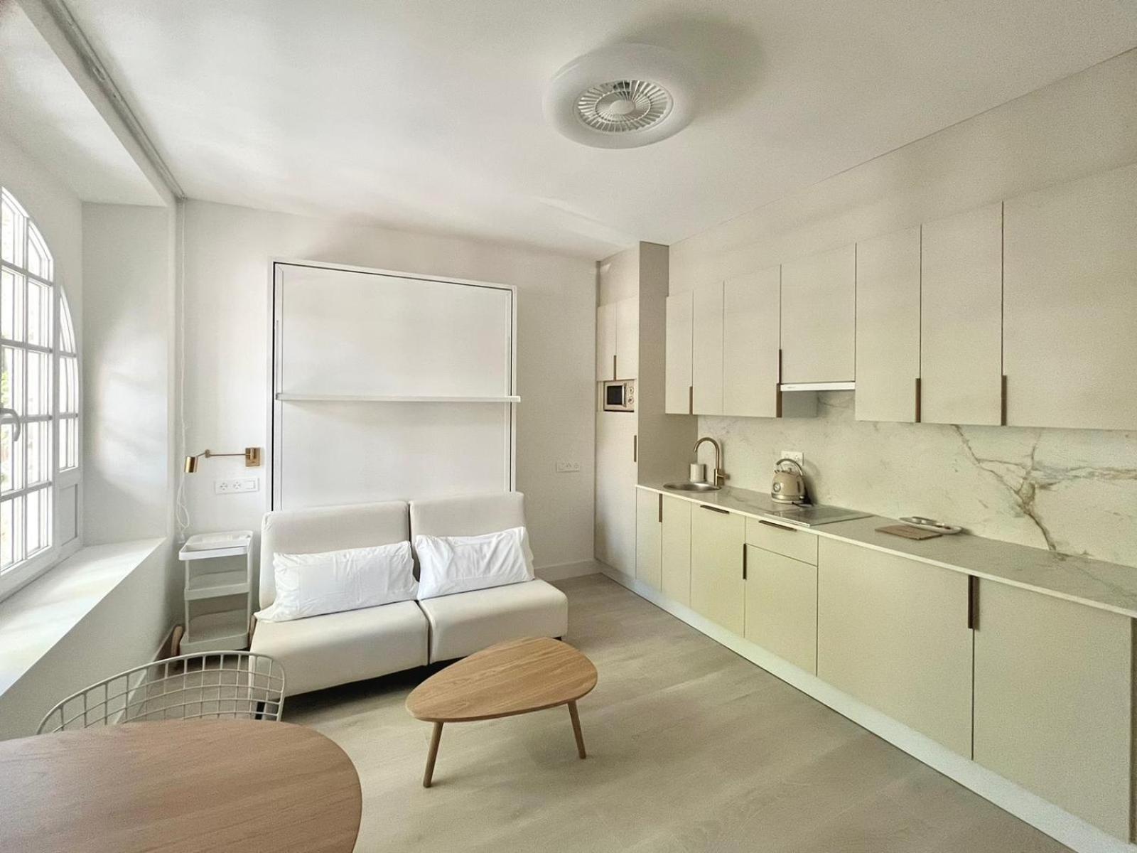 Apartamento Estudio con una Cama Matrimonial