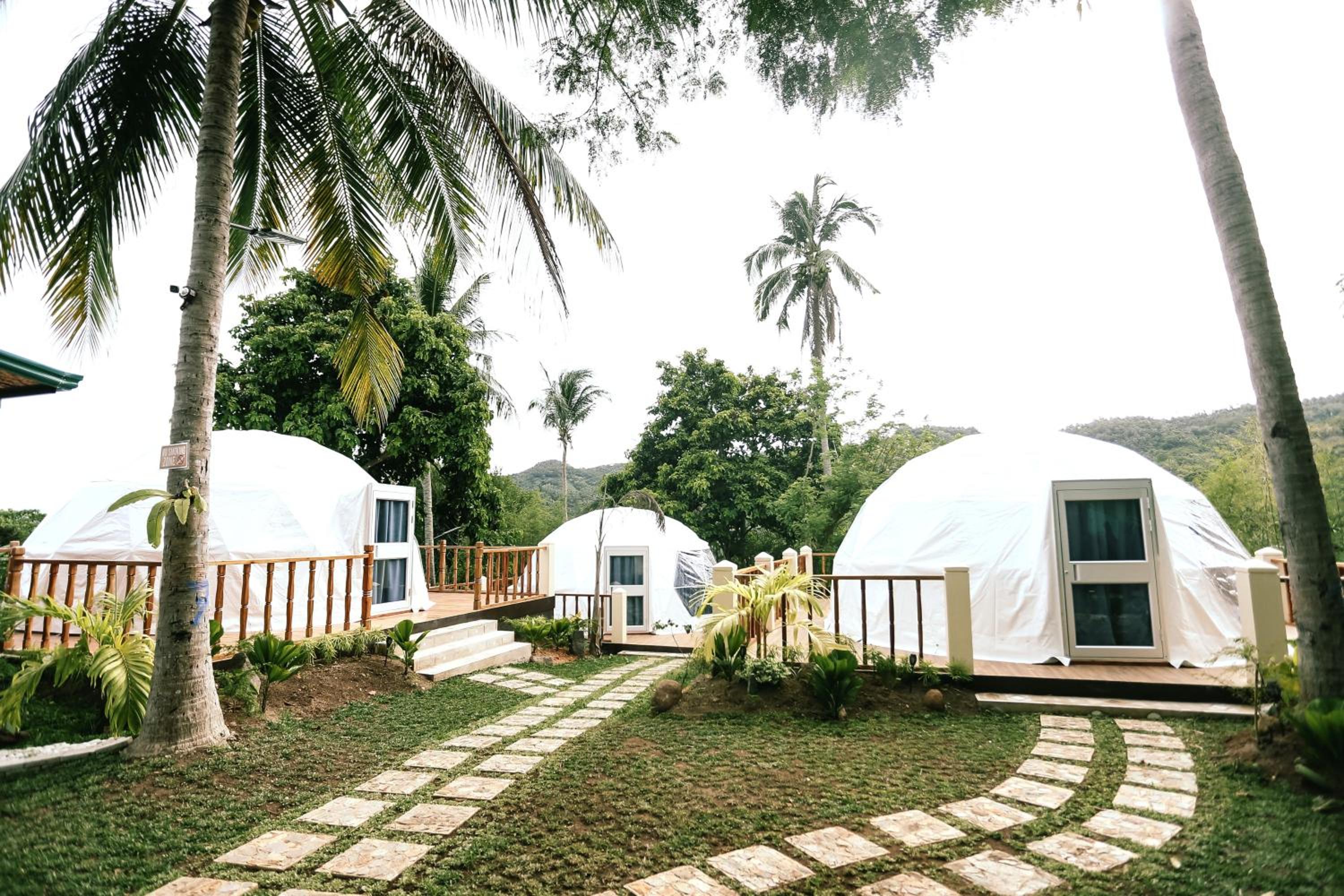 Glamping Dome  photo 3