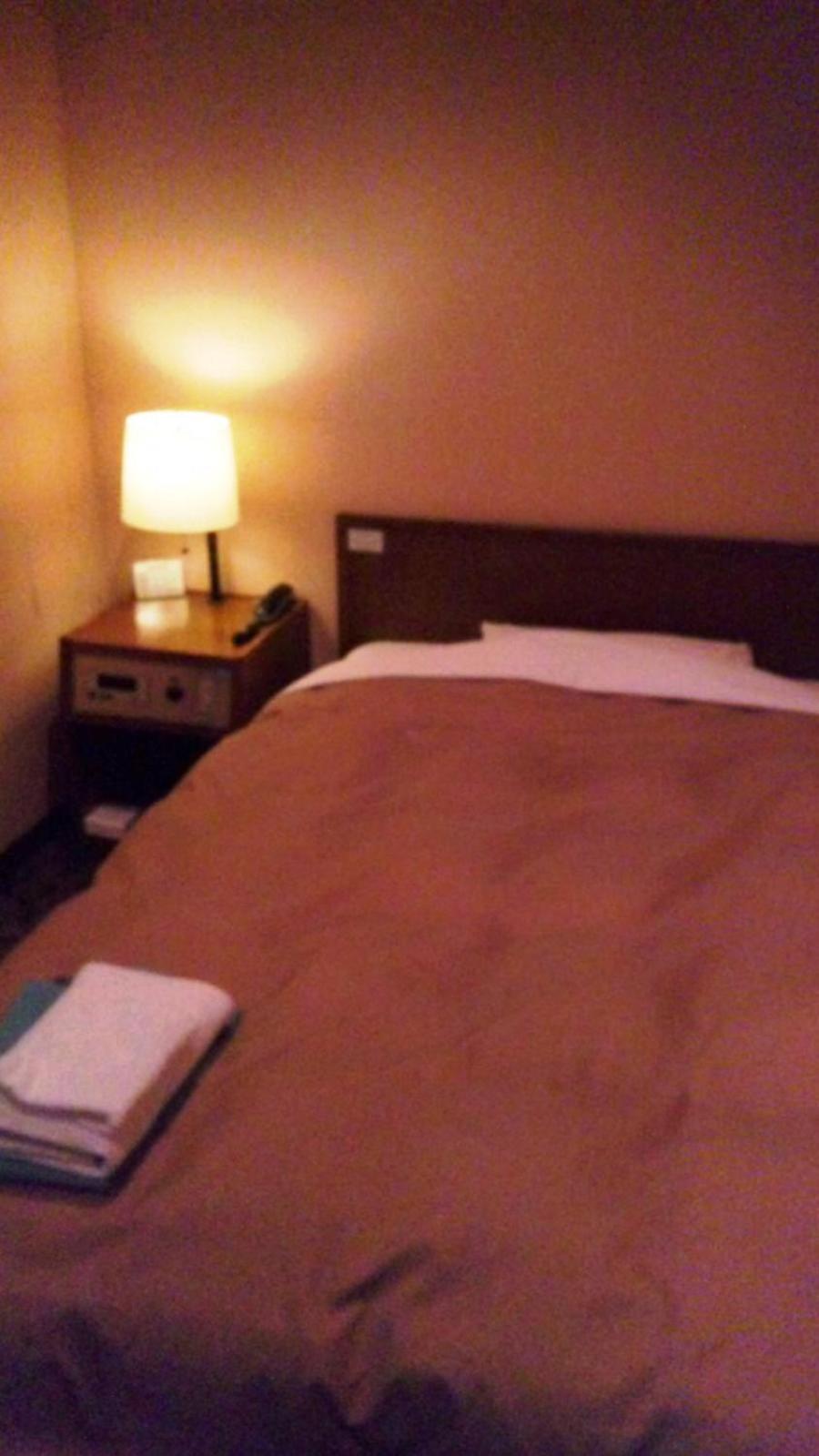Single Room - Smoking photo 3