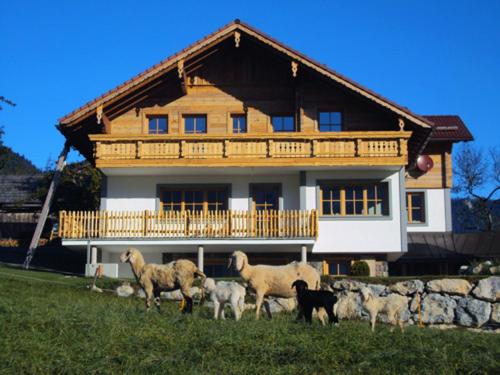 Superior Chalet photo 2