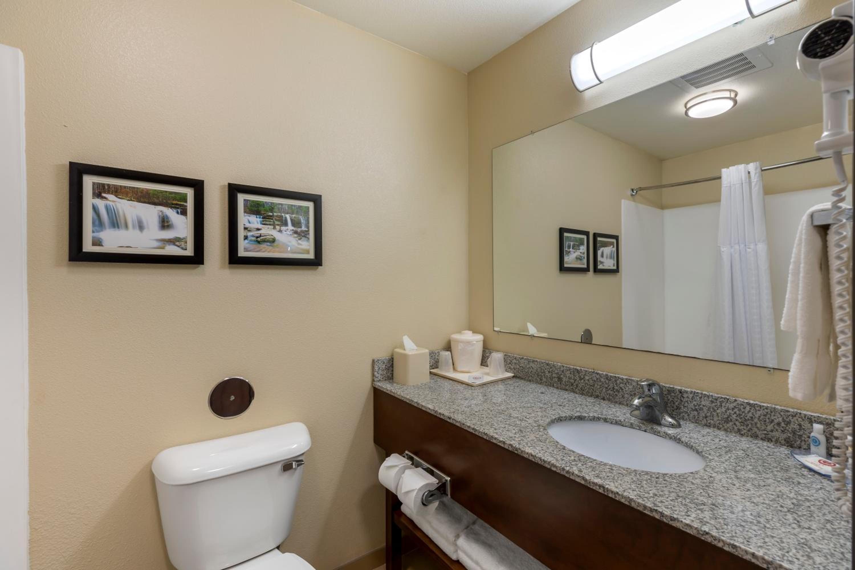 King Suite - Non-Smoking - Photo 4