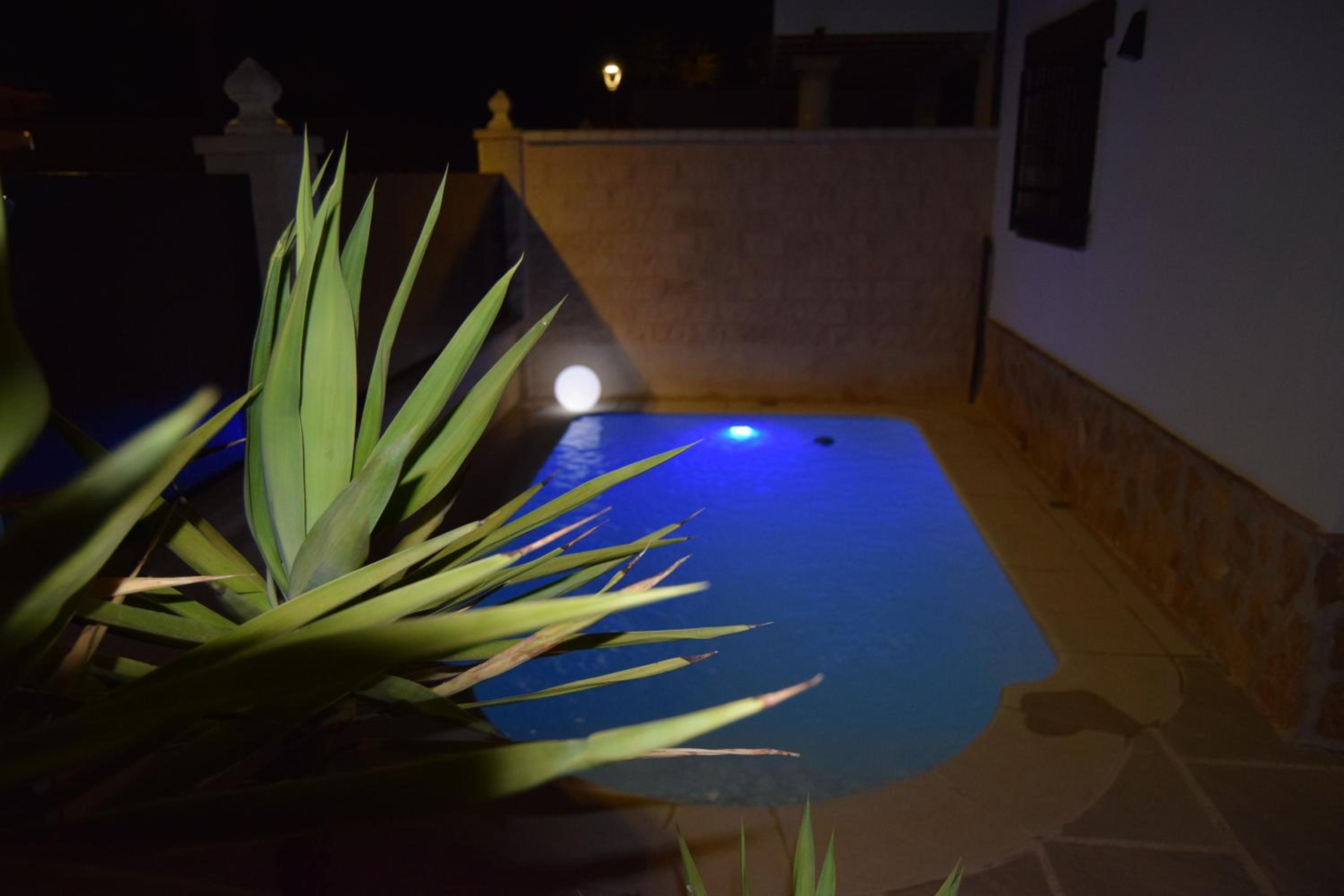 Superior Villa photo 3
