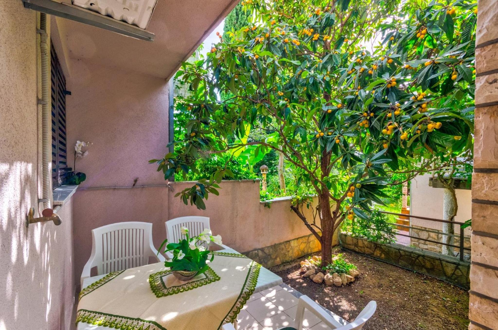 Apartment with Garden View photo 3