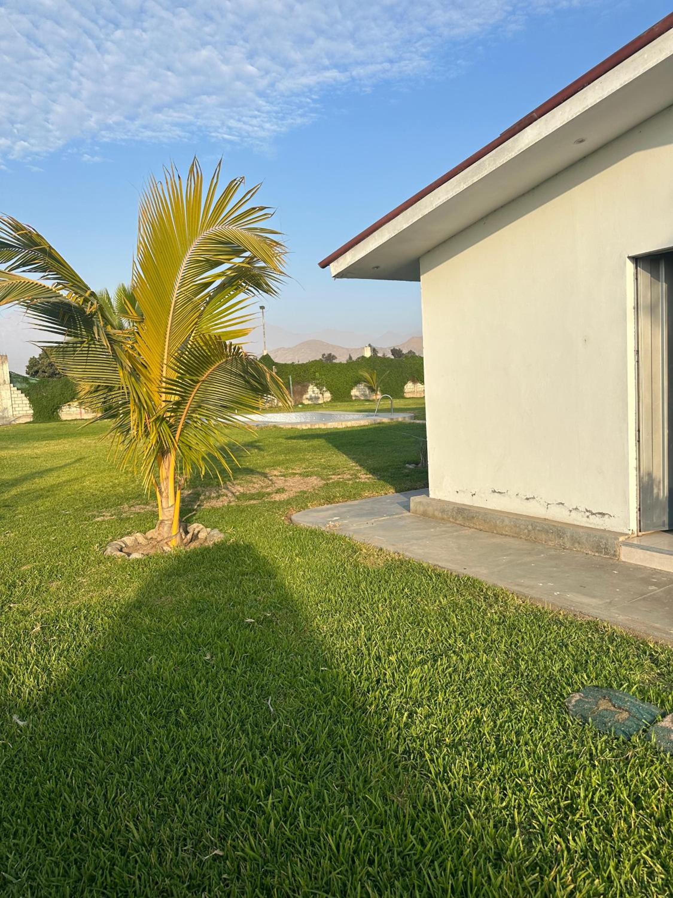 Three-Bedroom House photo 3