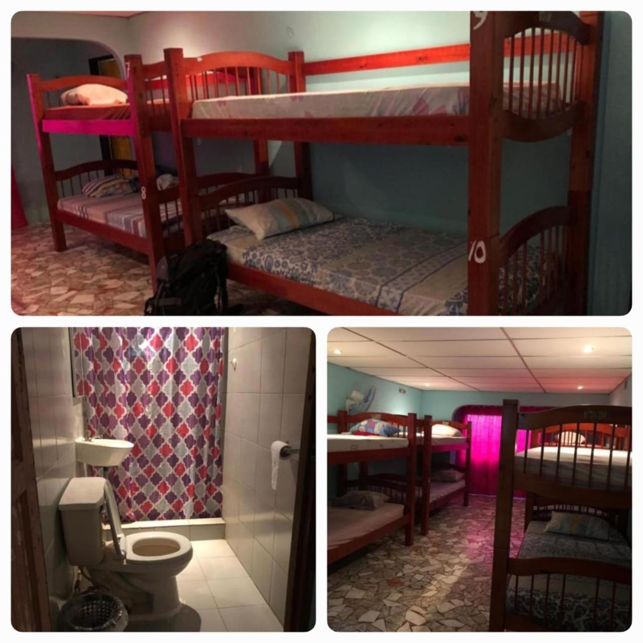 Mixed Dormitory Room photo 1