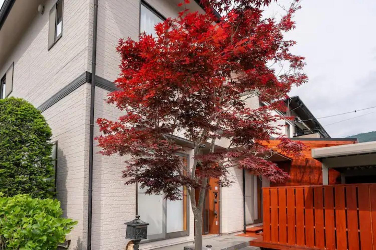 Vacation Home photo 3