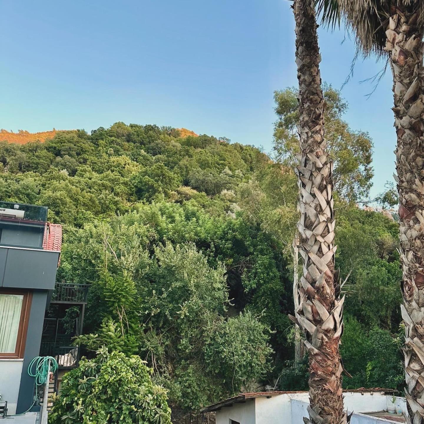 Two-Bedroom Apartment with Terrace and Sea View photo 2