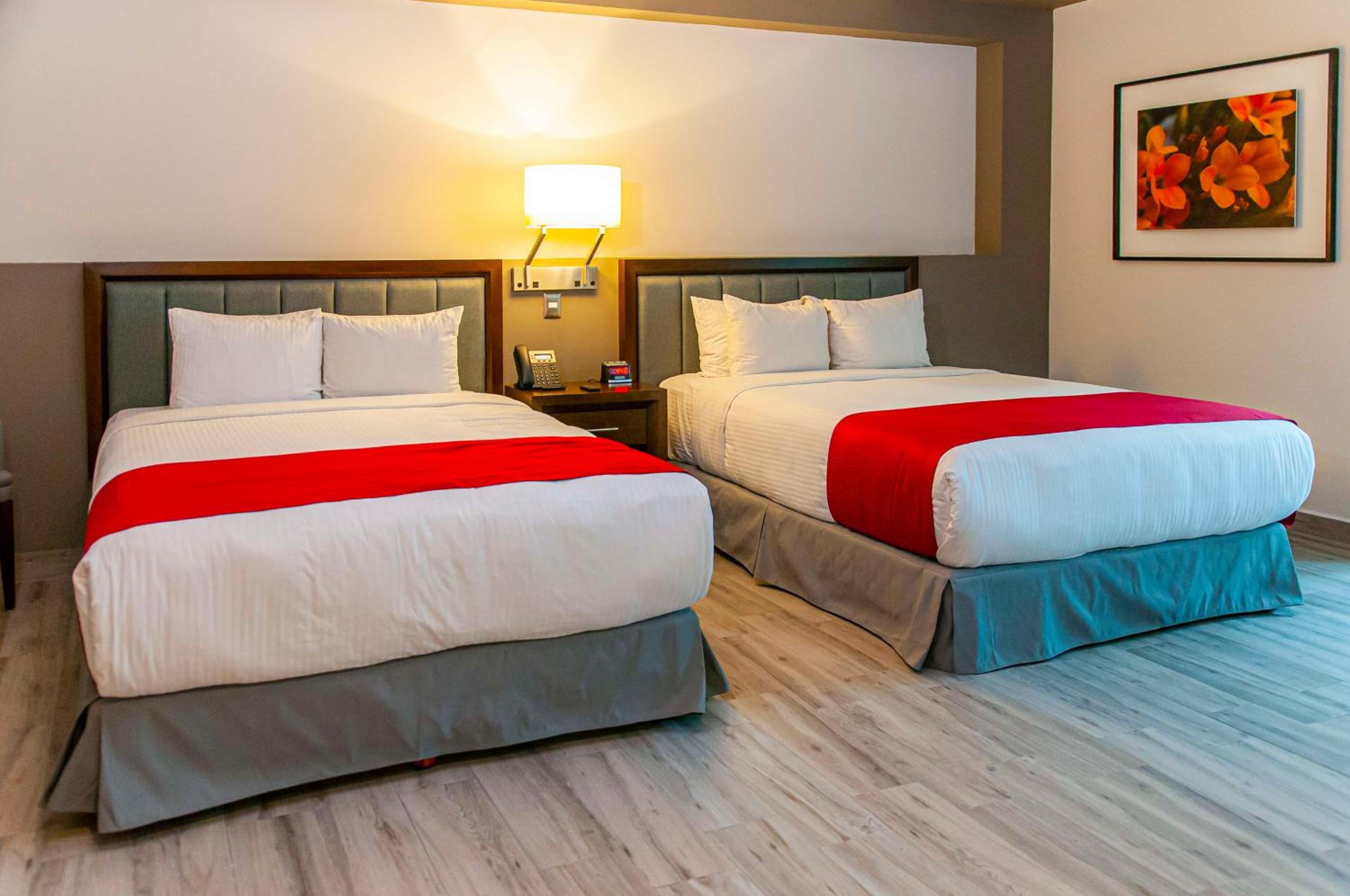 Queen Room with Two Queen Beds - Pet Friendly photo 1