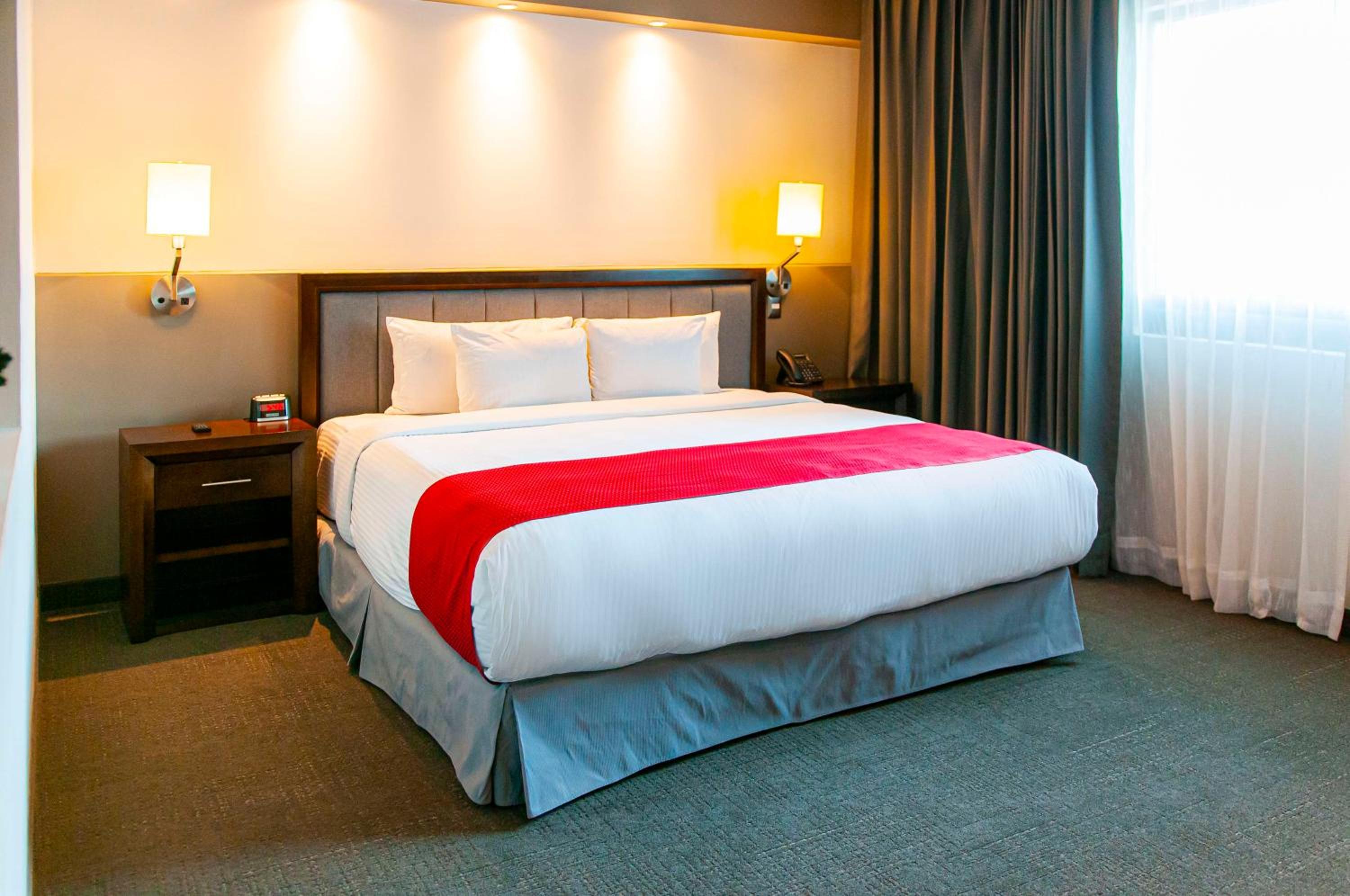 Junior King Suite with Sofa Bed