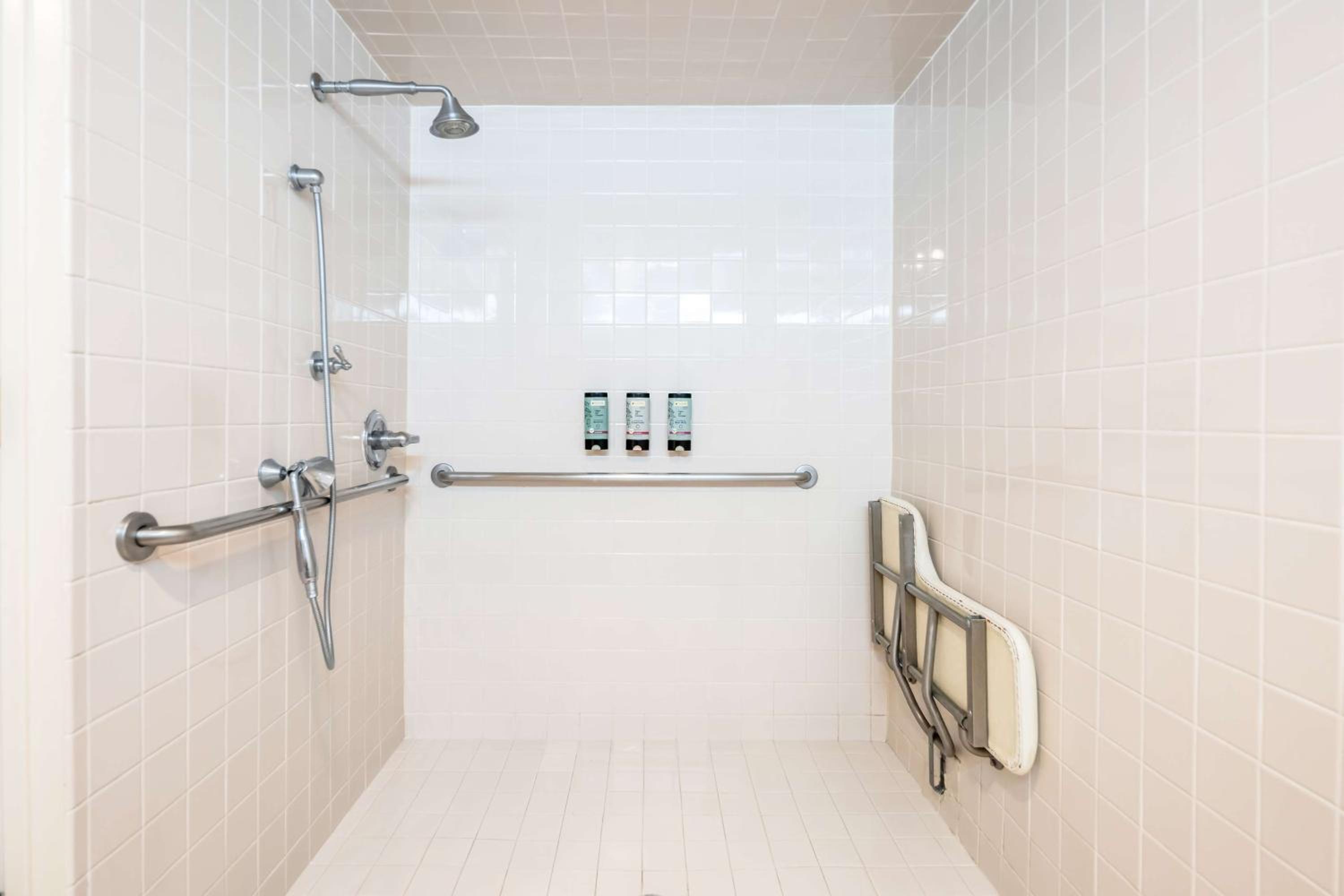 Queen Suite with Mobility Accessible Roll-In Shower - Photo 2
