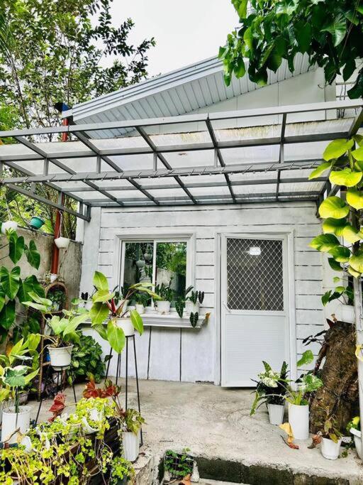 One-Bedroom House photo 2