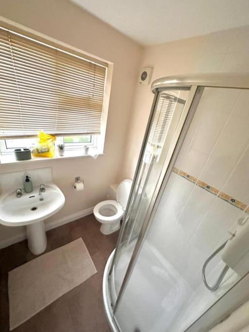 Four-Bedroom House photo 3