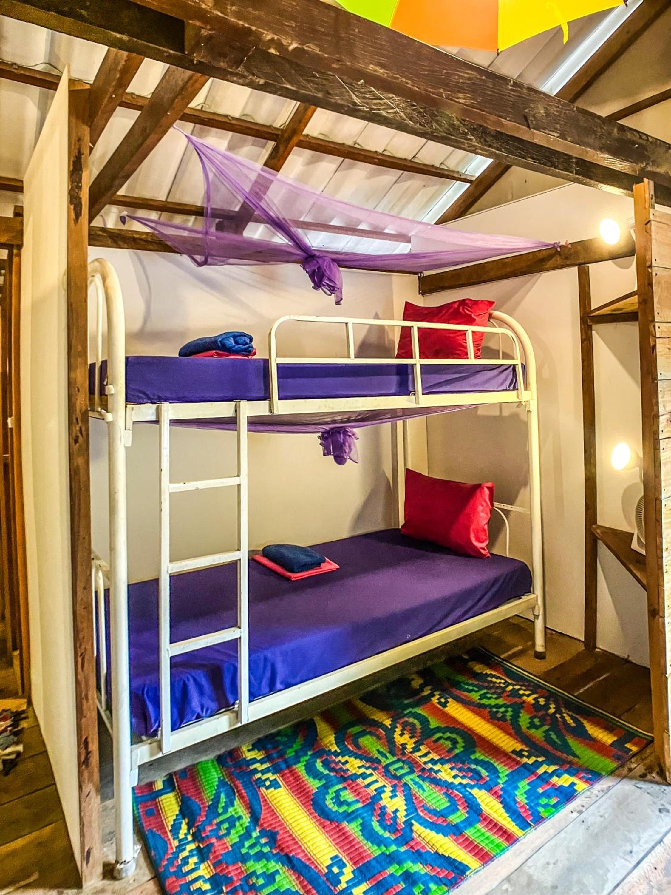 Bed in 6-Bed Female Dormitory Room photo 1