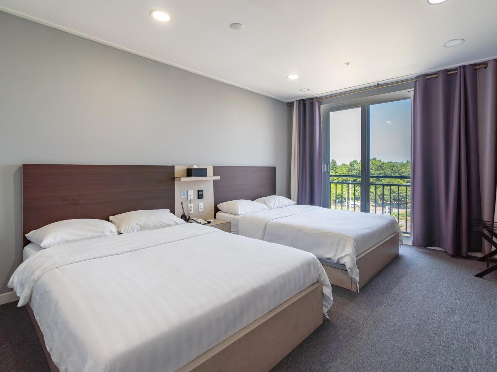 [Room Upgrade] Deluxe Twin Room to Deluxe Sunrise Peak View