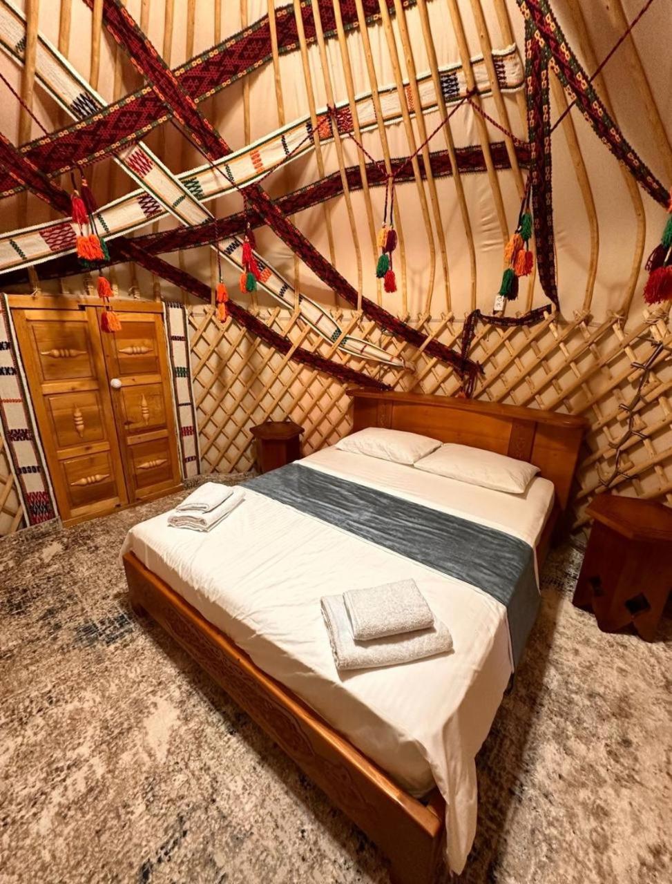 Suite - Photo 1