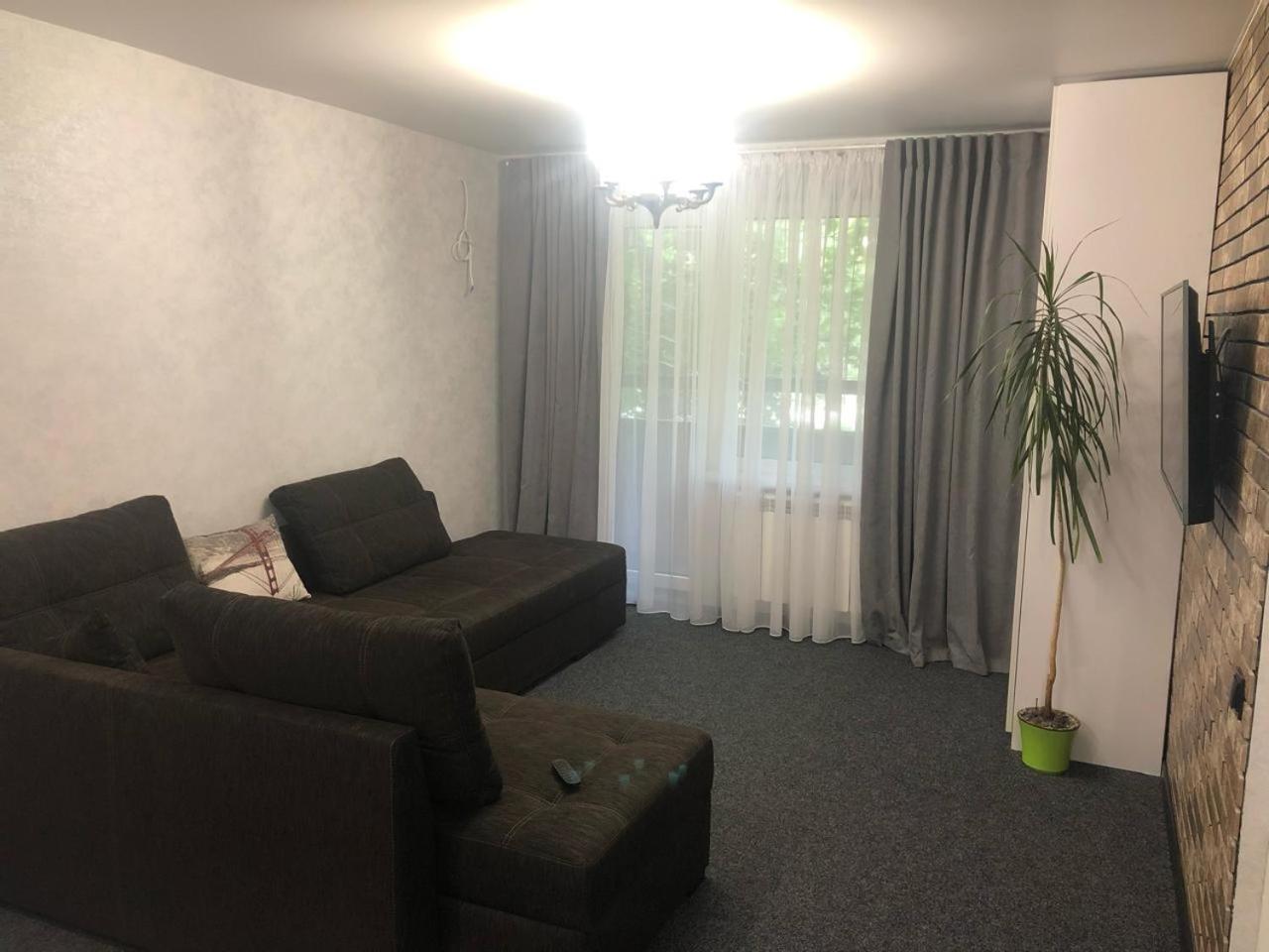 One-Bedroom Premium Apartment photo 3