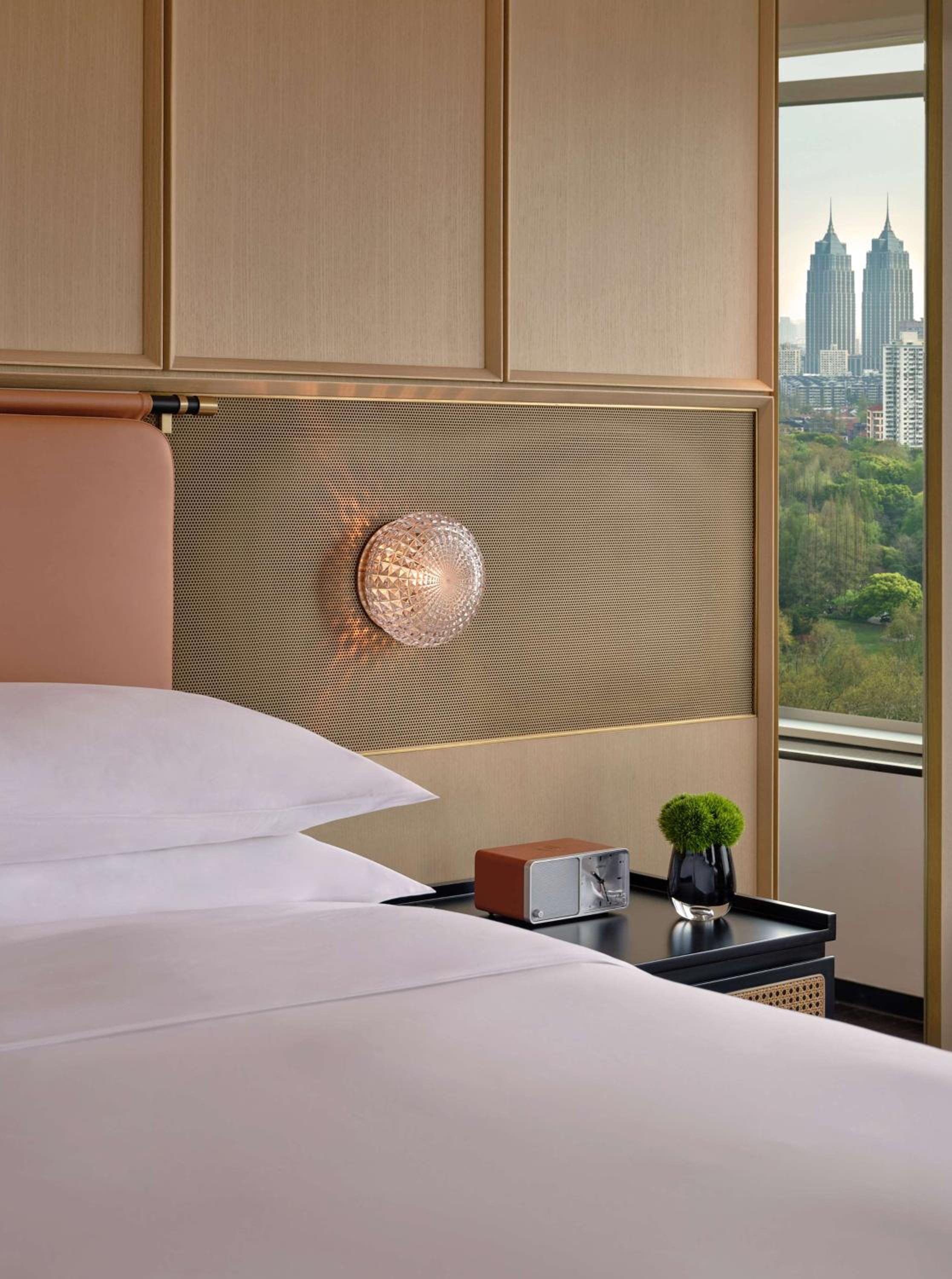 Deluxe King Room with Park View