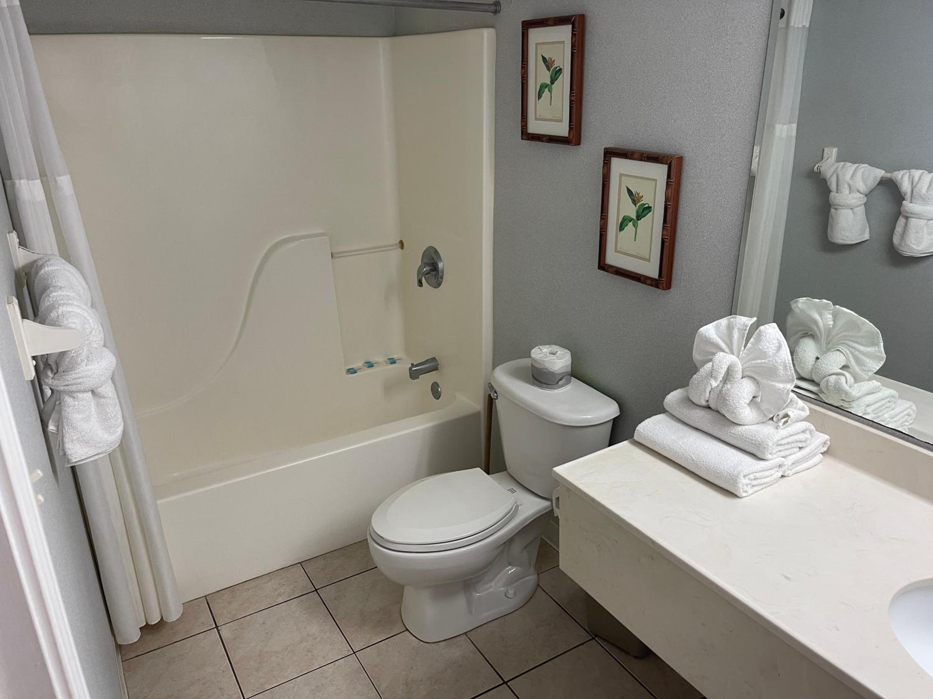 Junior Suite with Sea View photo 2