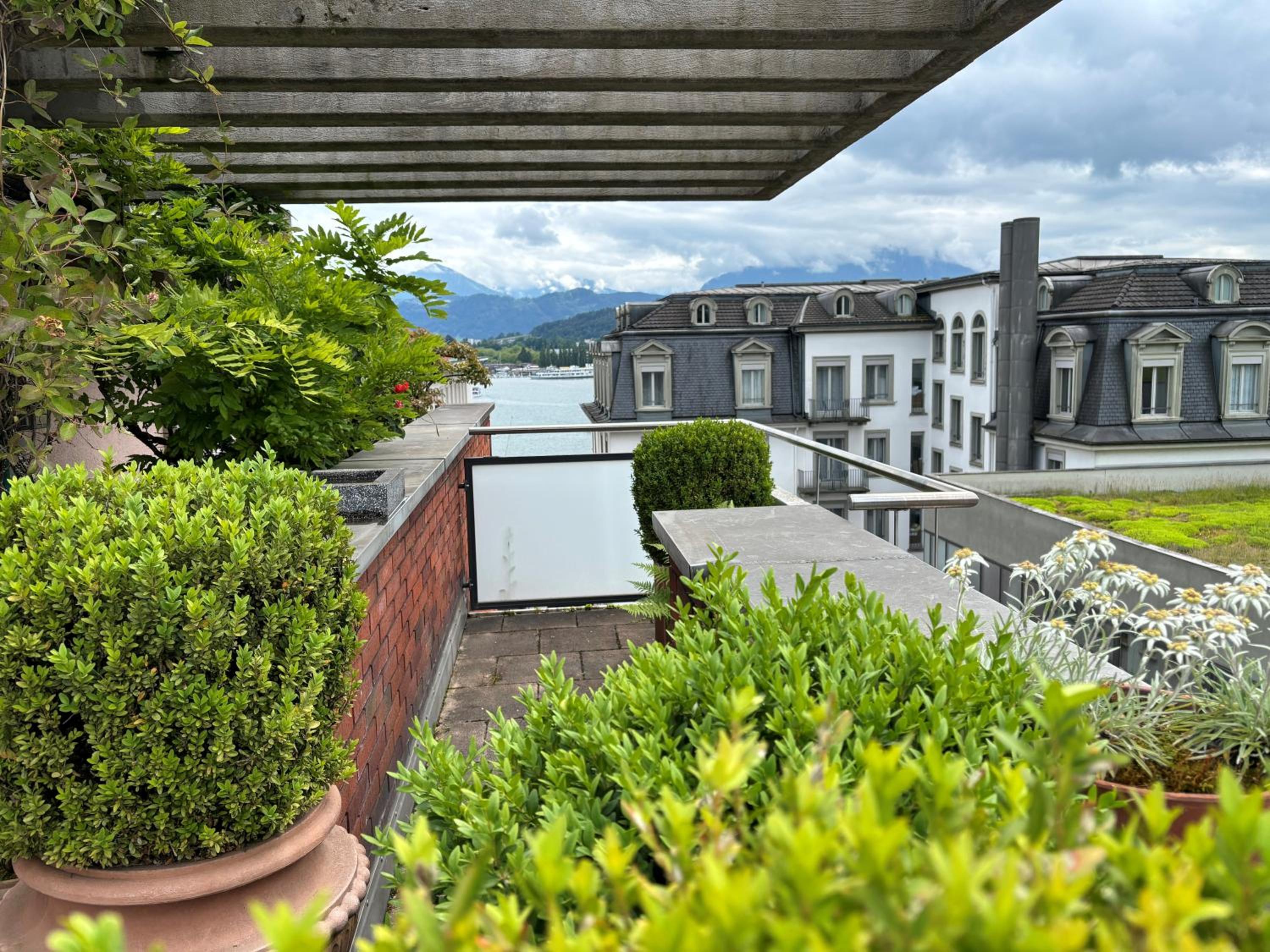 Apartment with Terrace photo 3