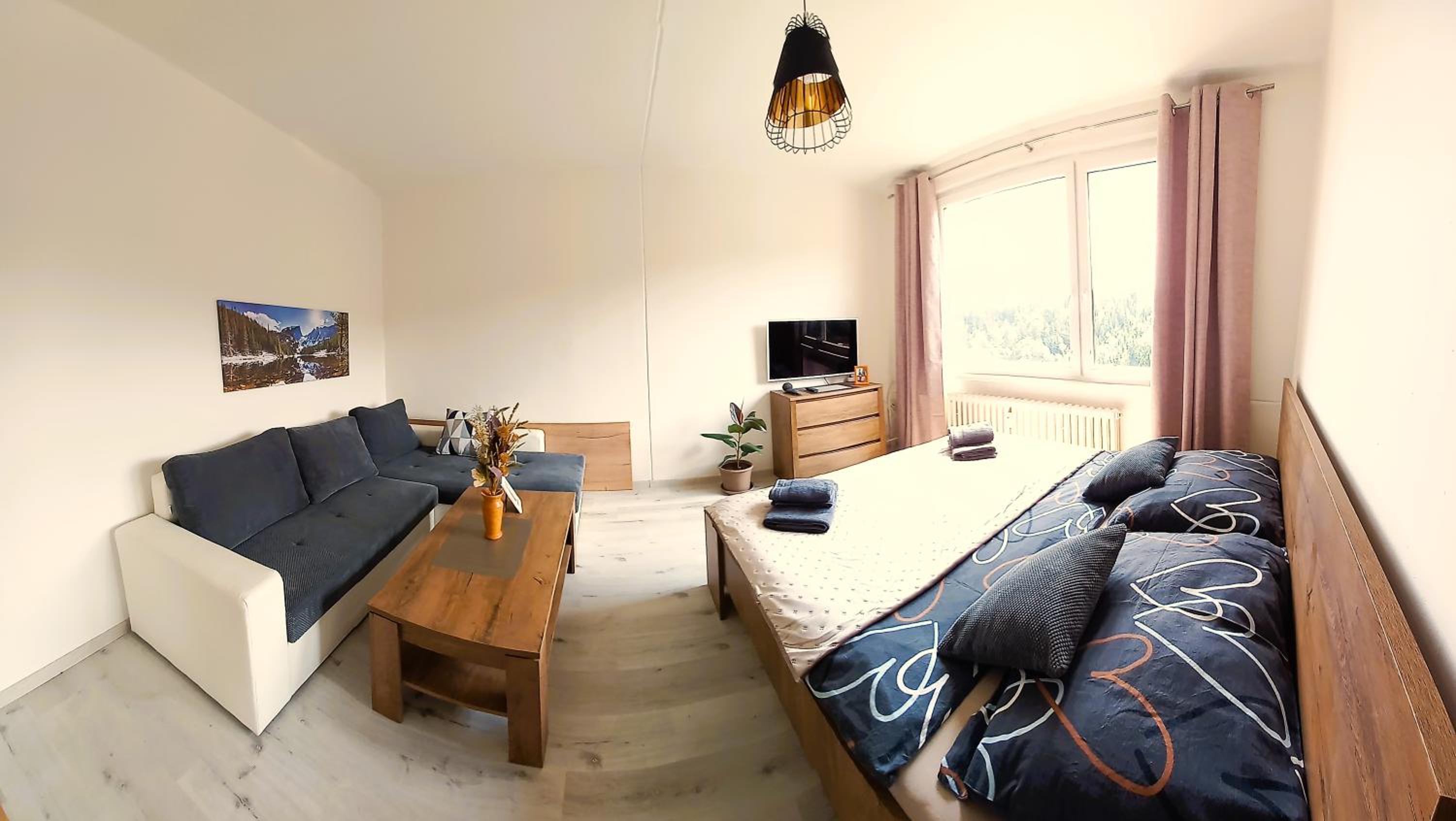 One-Bedroom Apartment photo 3