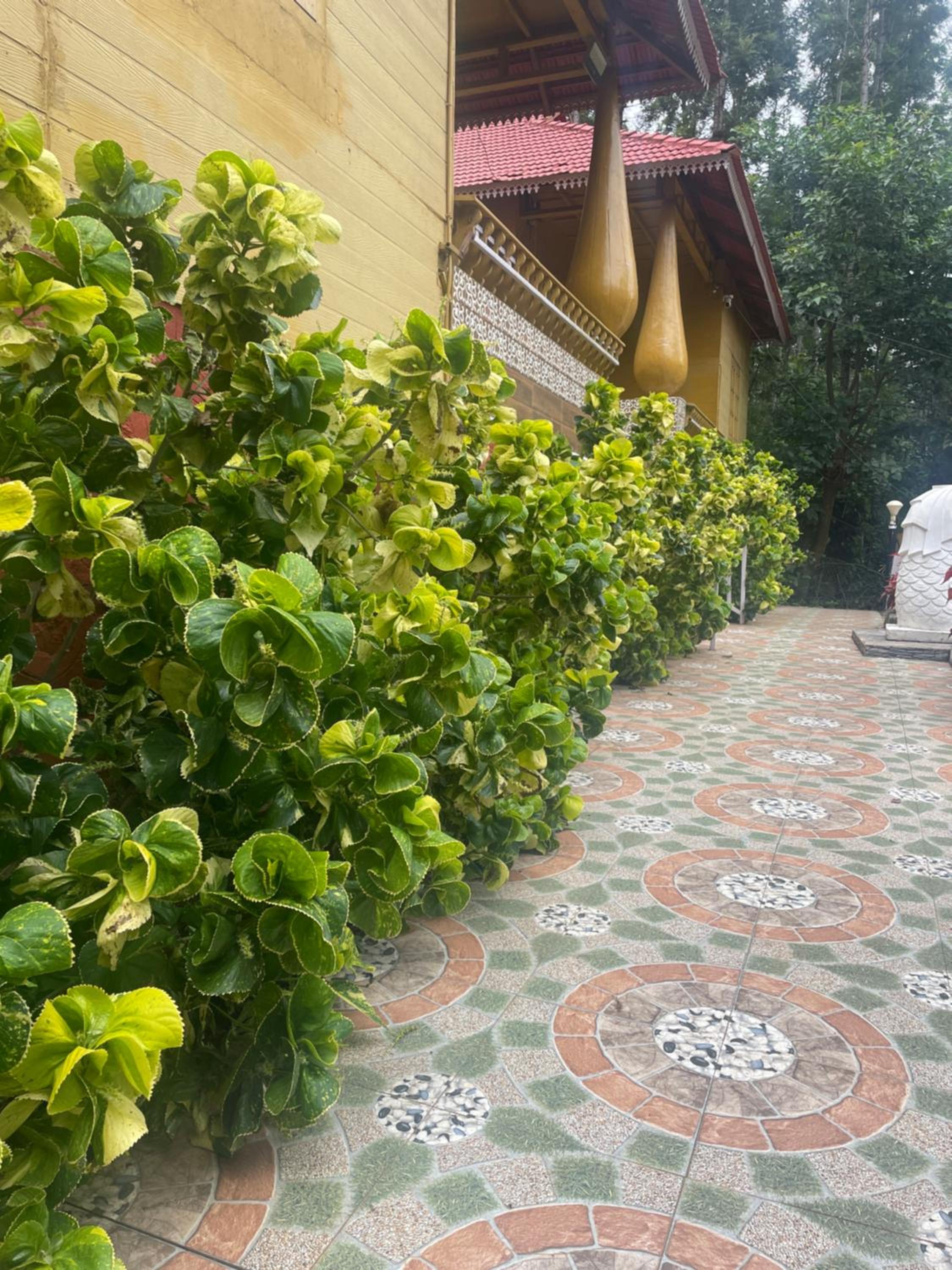 Villa photo 3