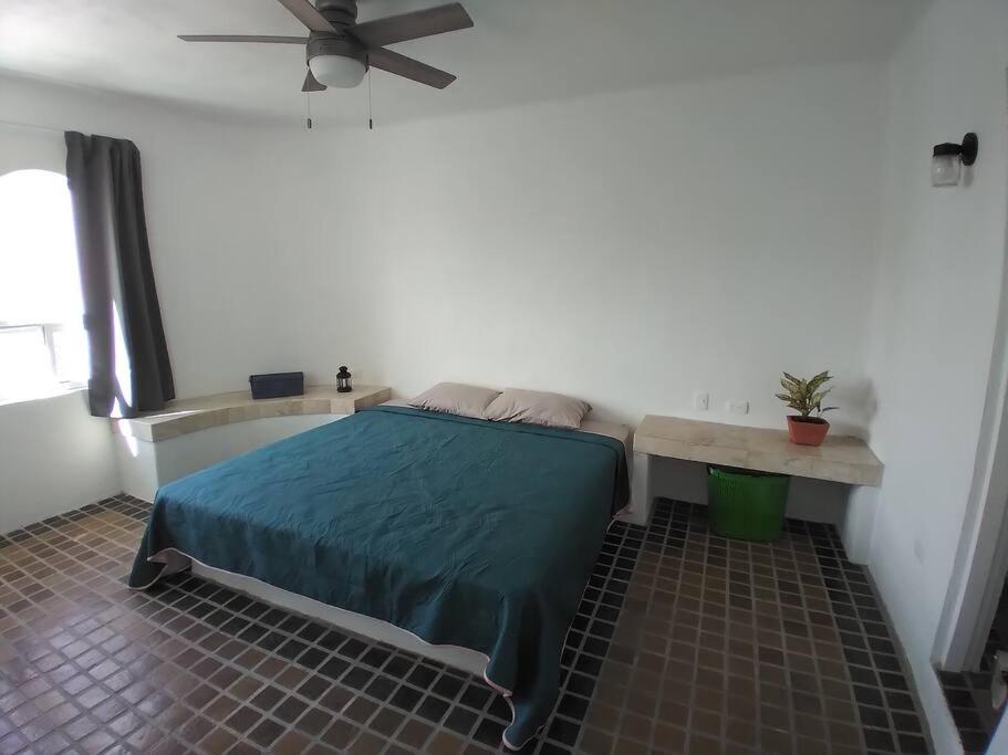 One-Bedroom Apartment photo 3