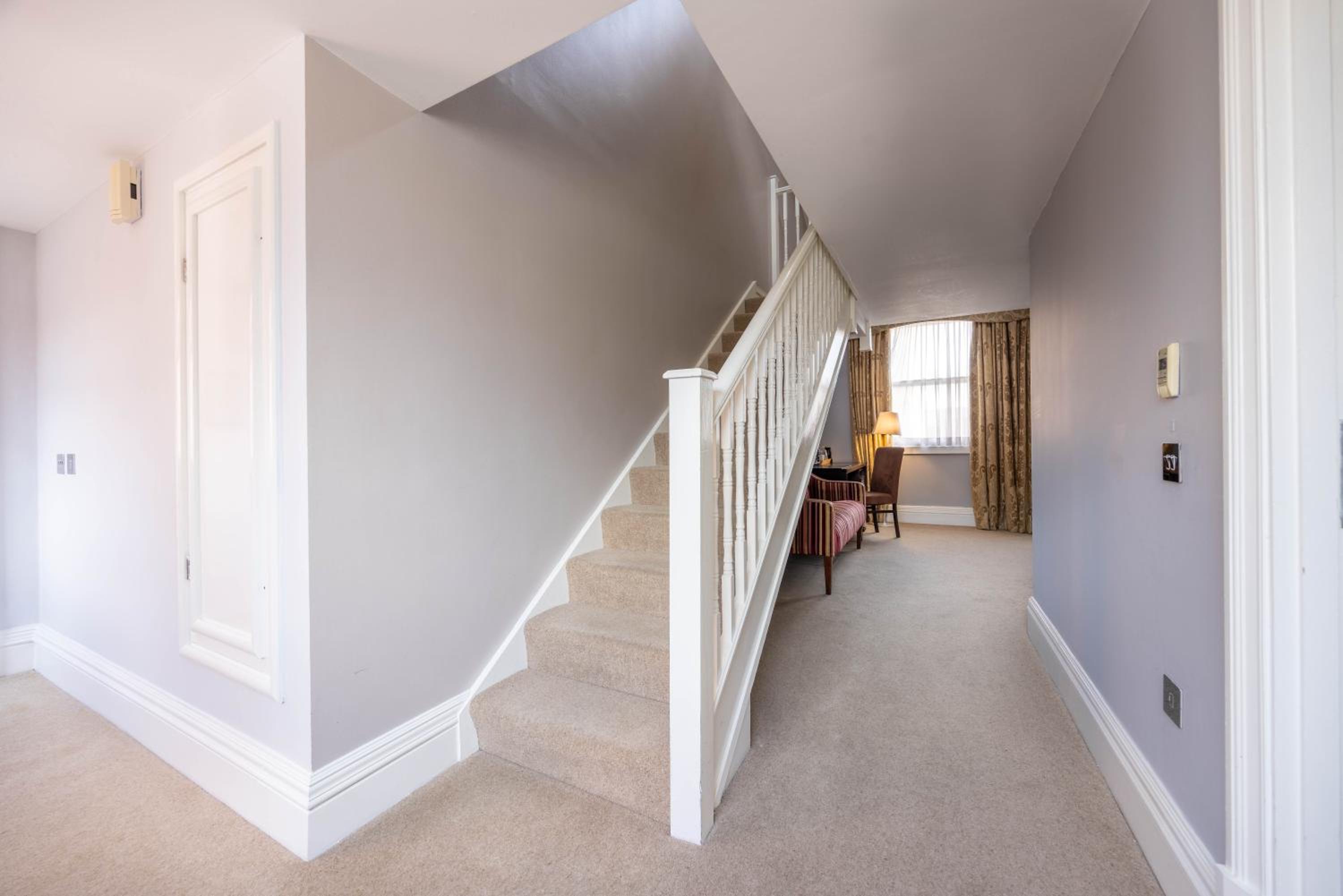 Suite - Photo 5