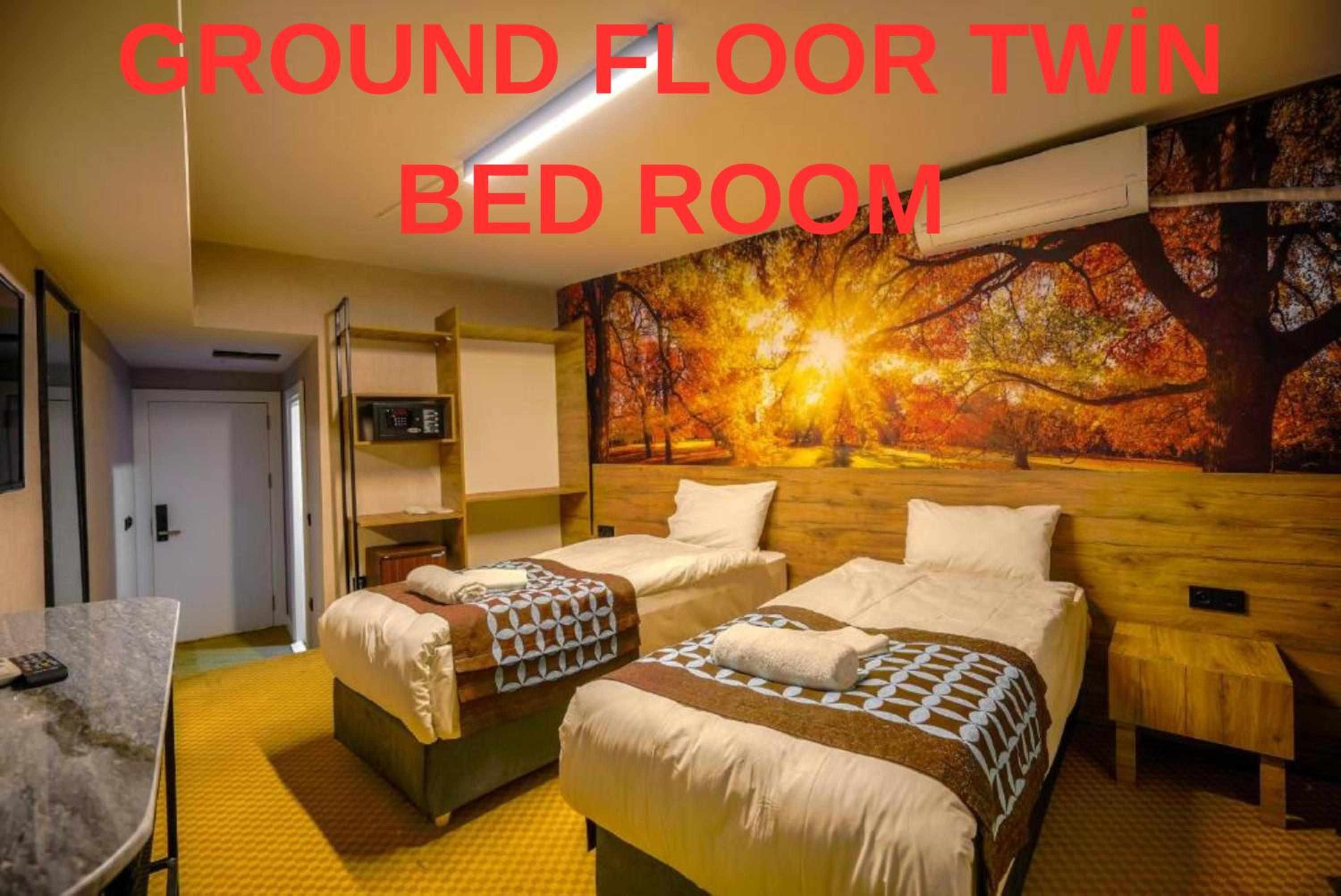 Basement Twin Room
