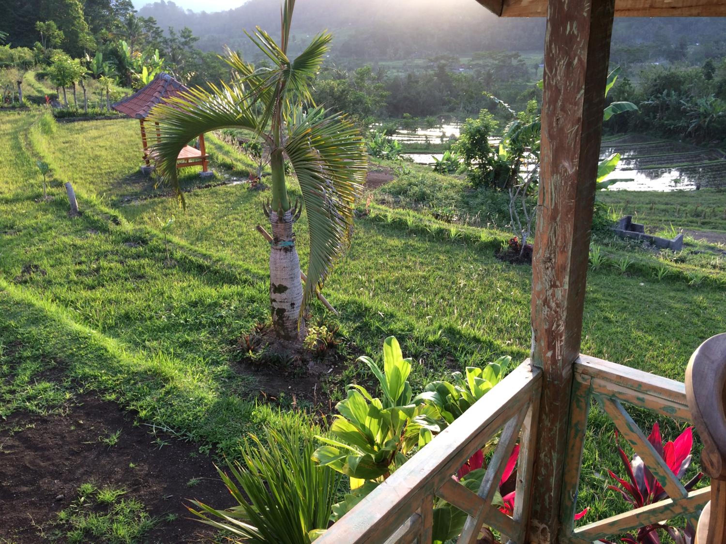 Bungalow with Garden View - Photo 9
