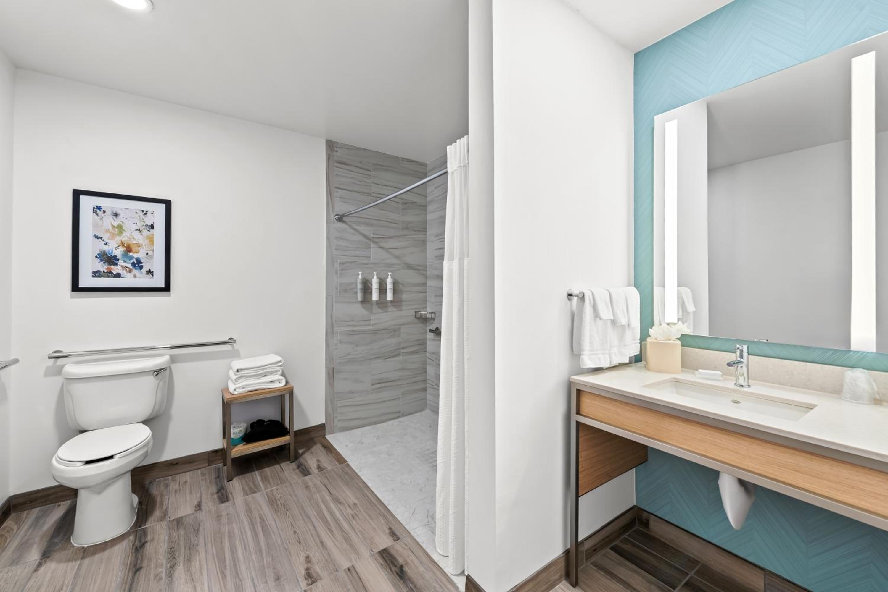 King Room with Roll-In Shower - Mobility Access - Photo 8
