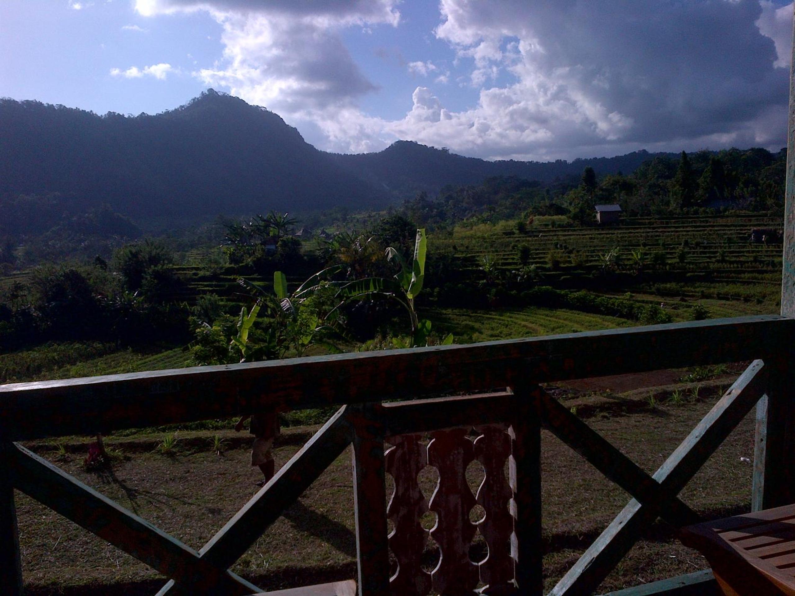 Bungalow with Garden View - Photo 10
