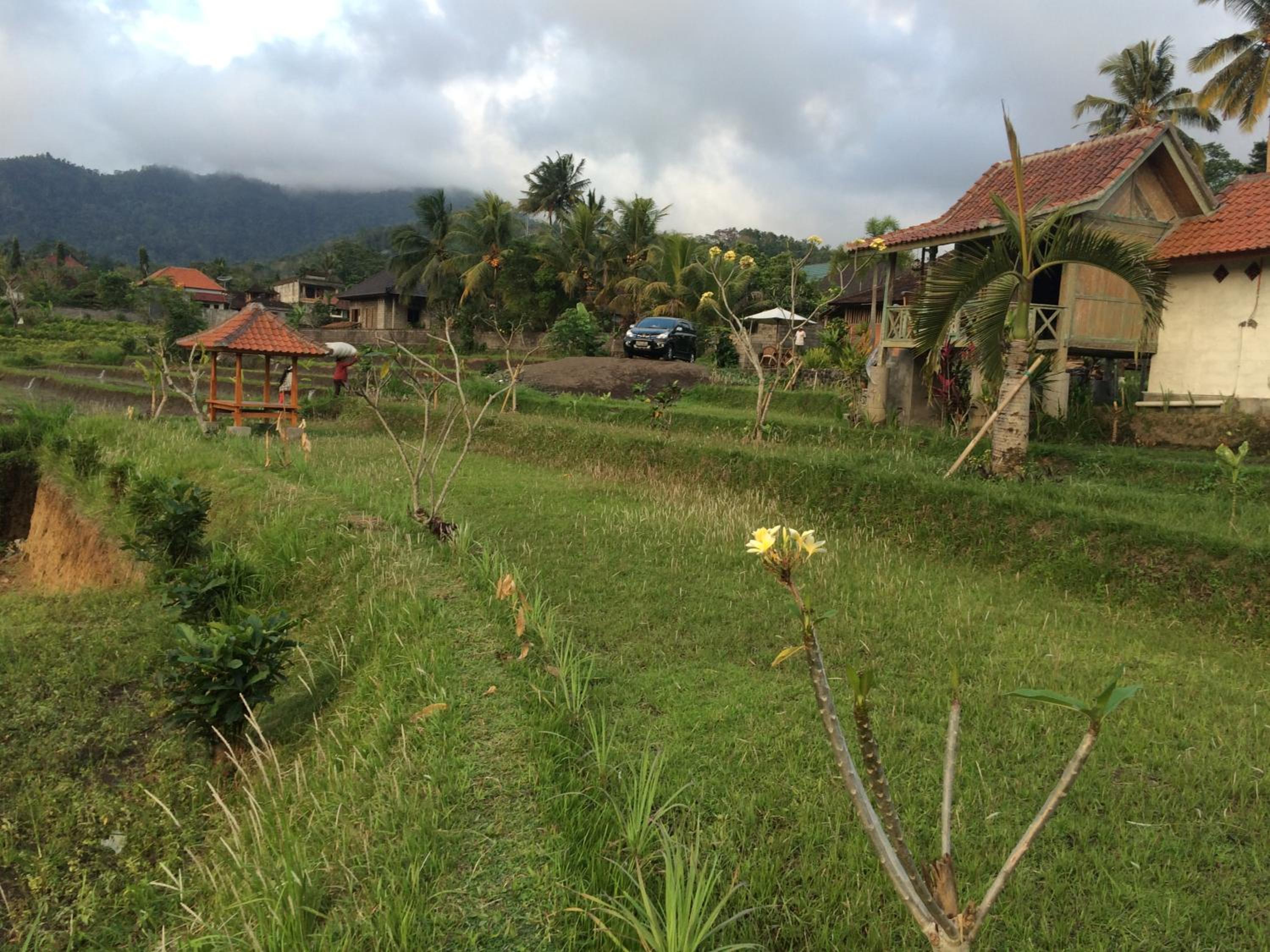 Bungalow with Garden View - Photo 7