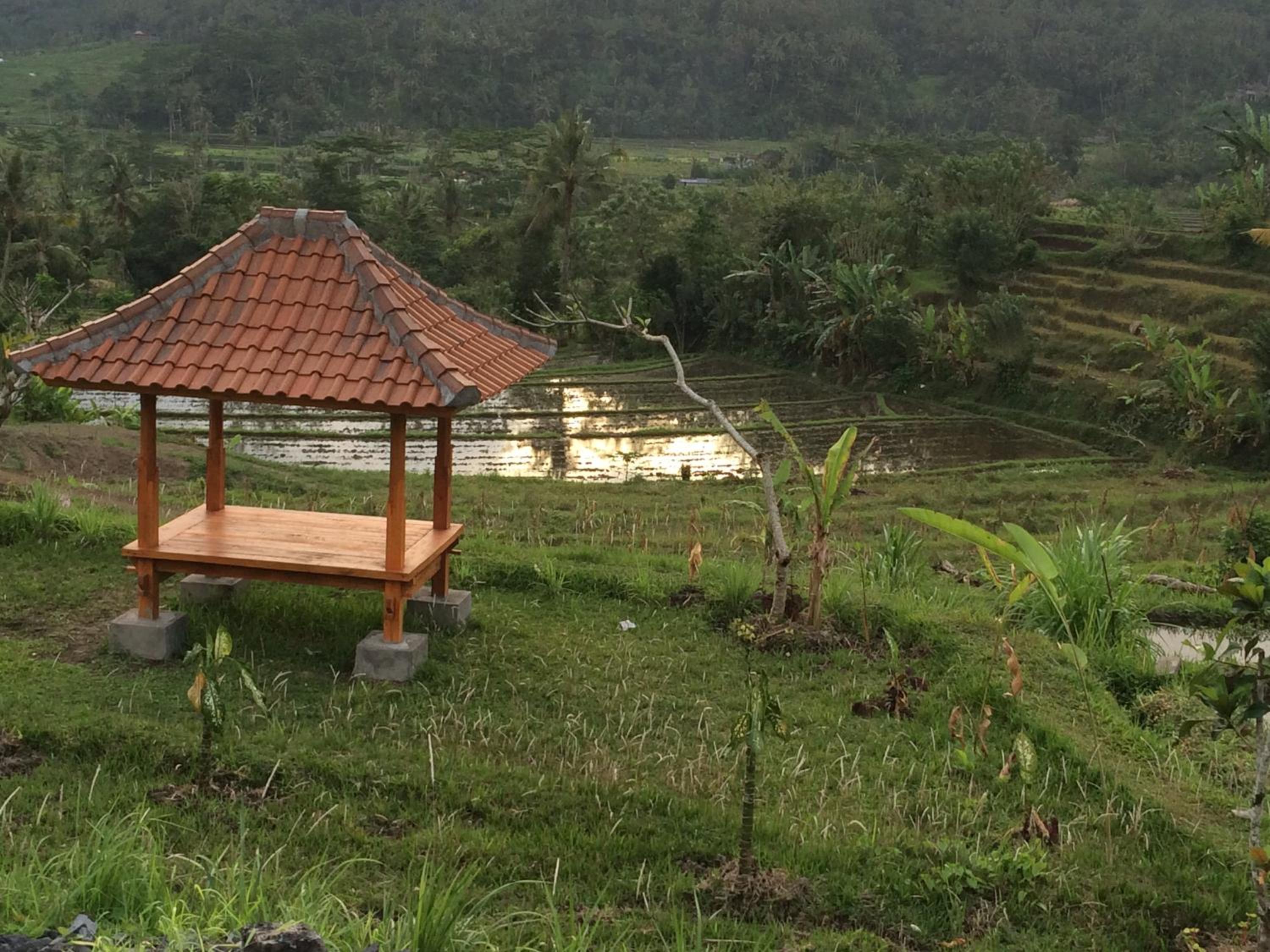 Bungalow with Garden View - Photo 12