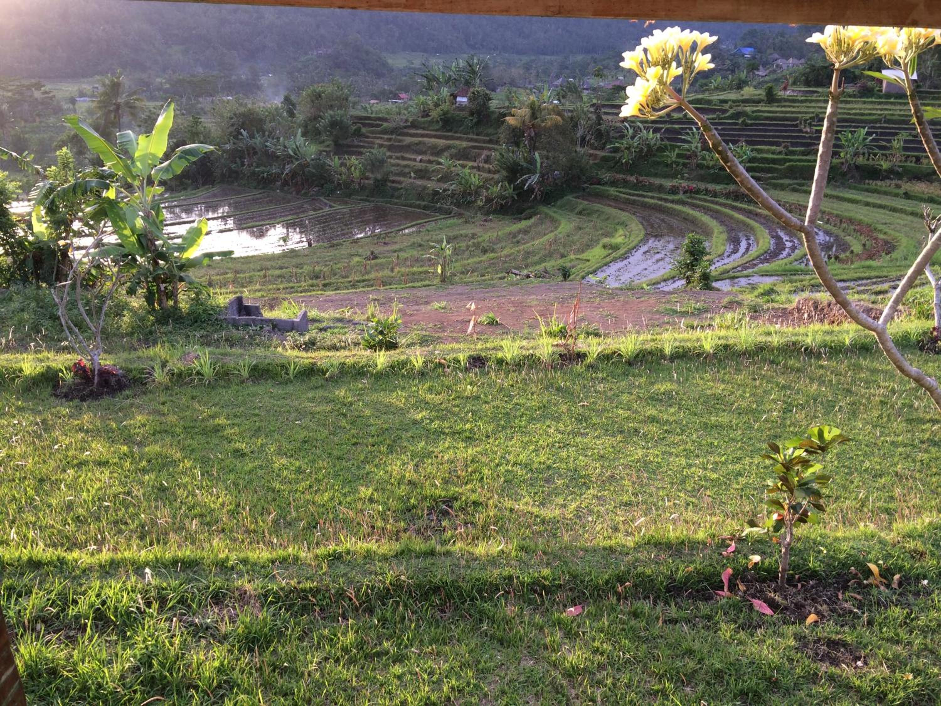 Bungalow with Garden View - Photo 43